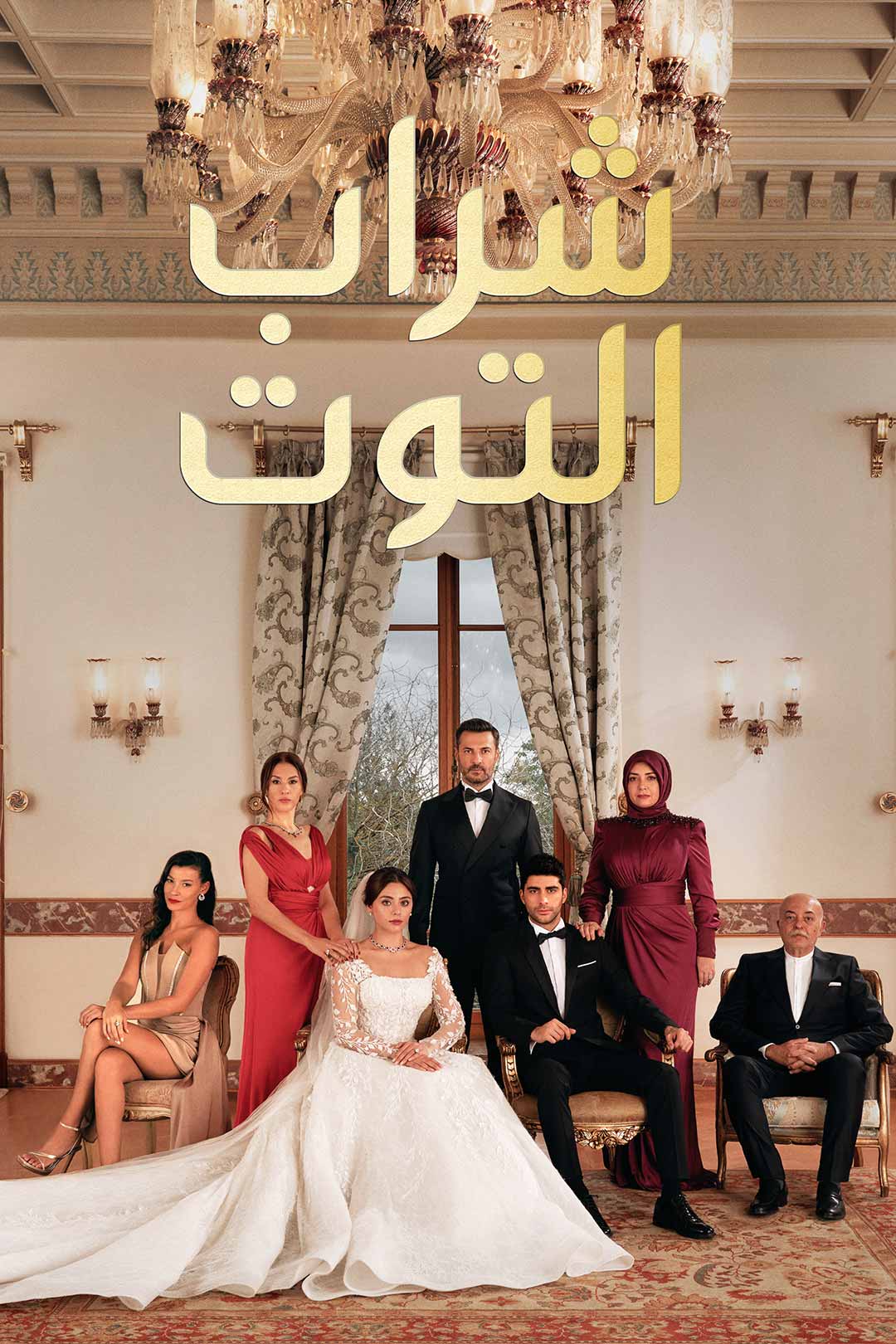 ARABIC SHOWS
YOU SIMPLY CAN'T MISS movies and series