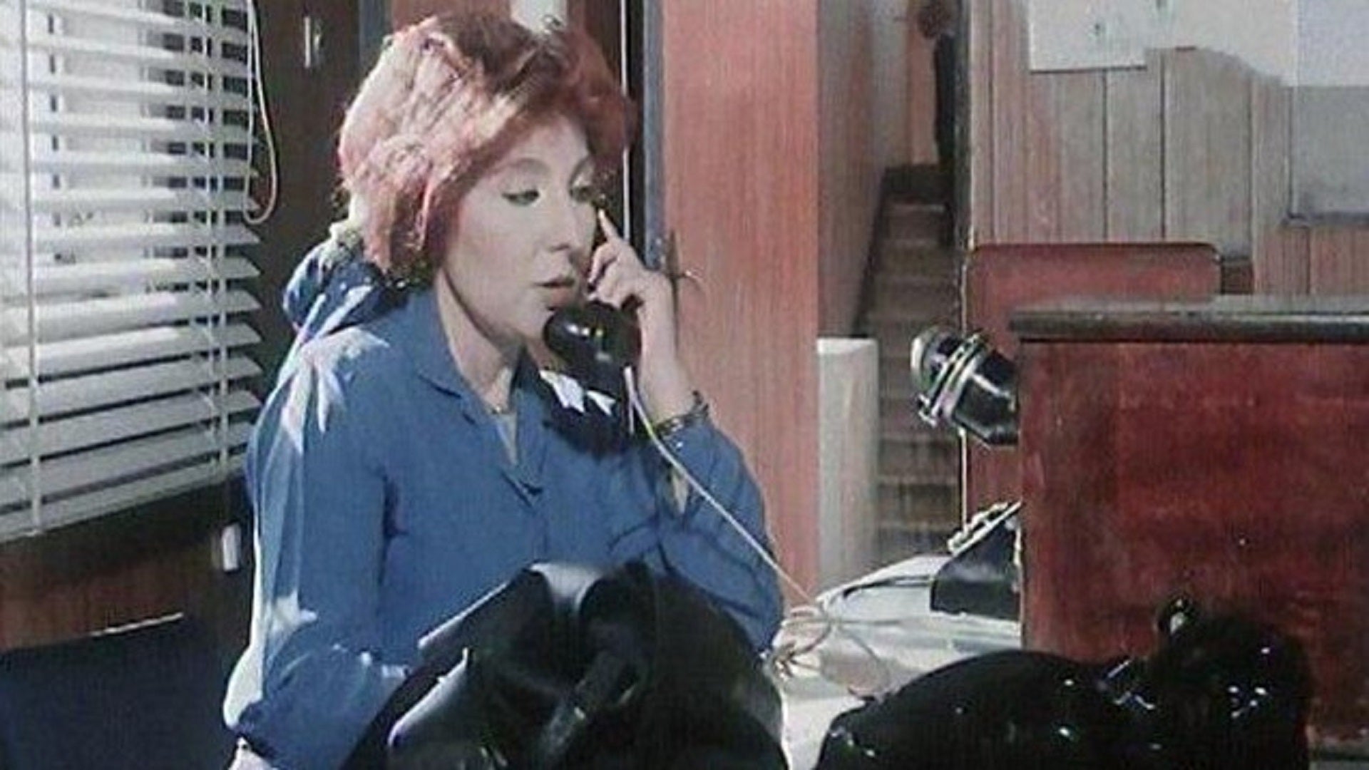 ملف سامية شعراوي