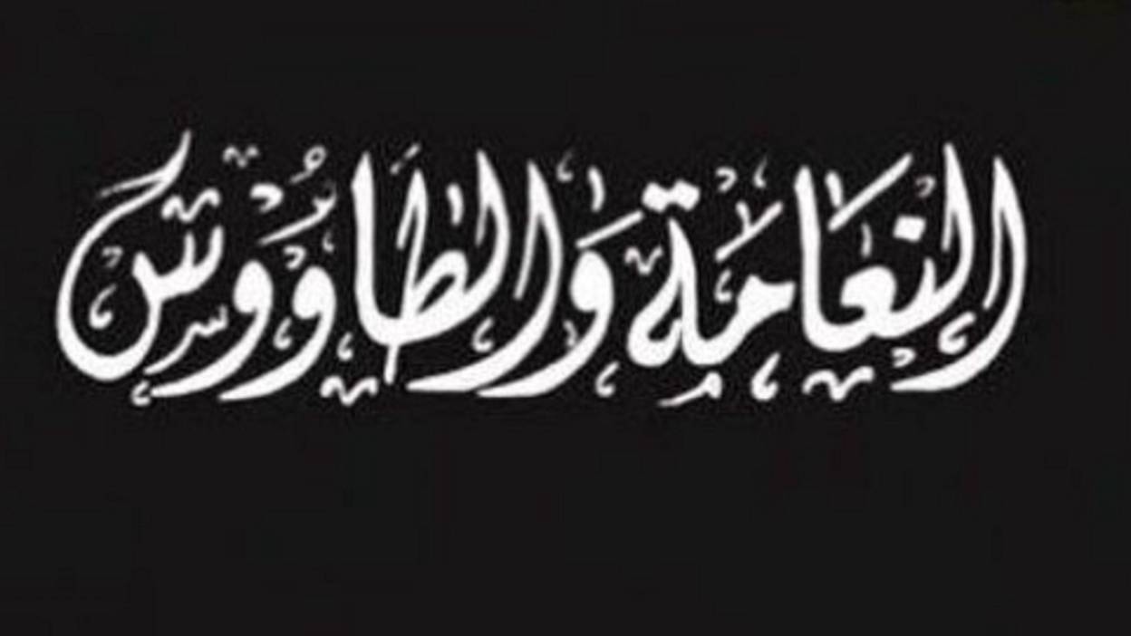 النعامة والطاووس