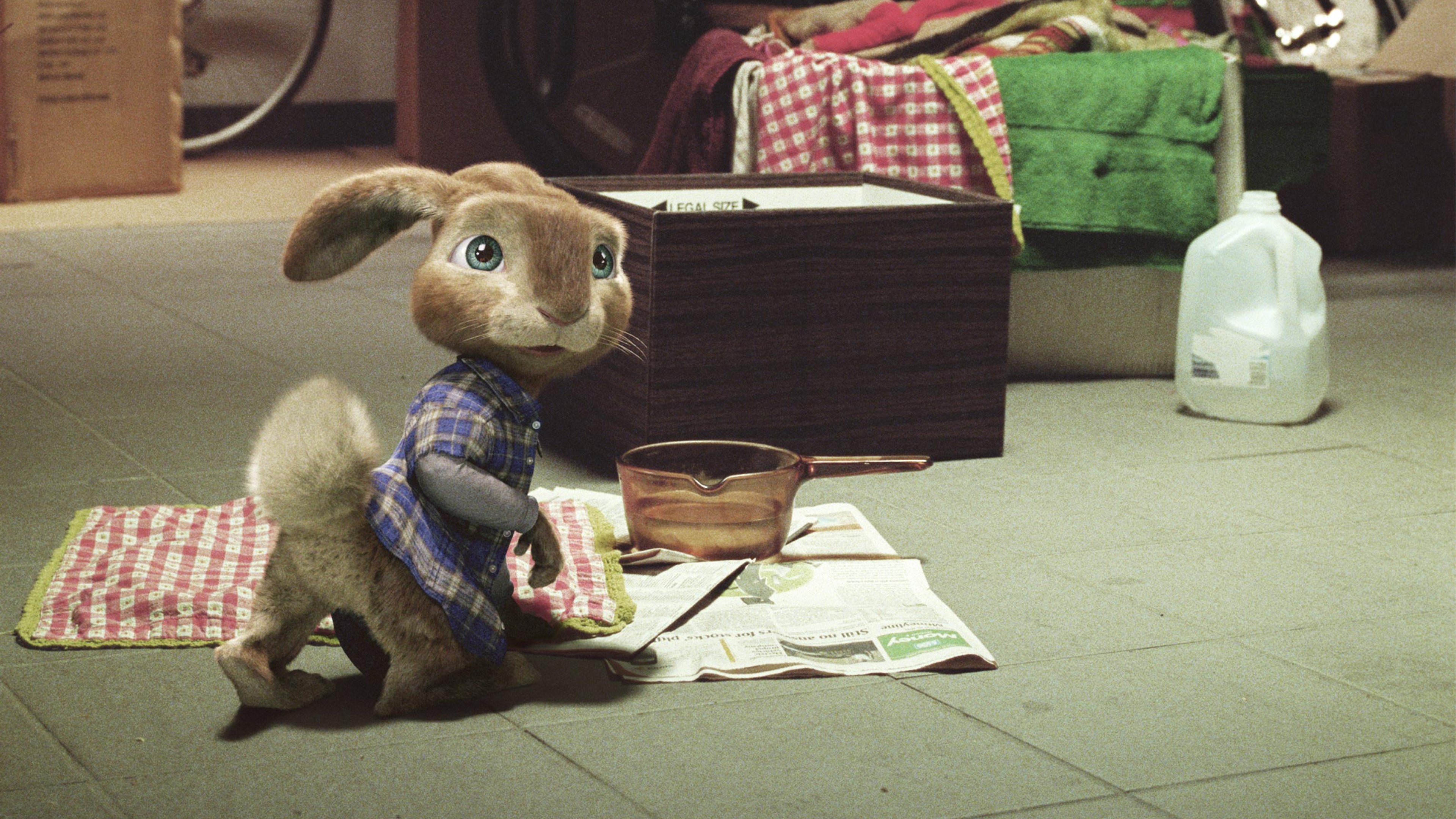 Hop
