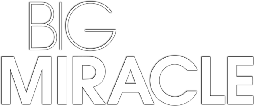 Big Miracle
