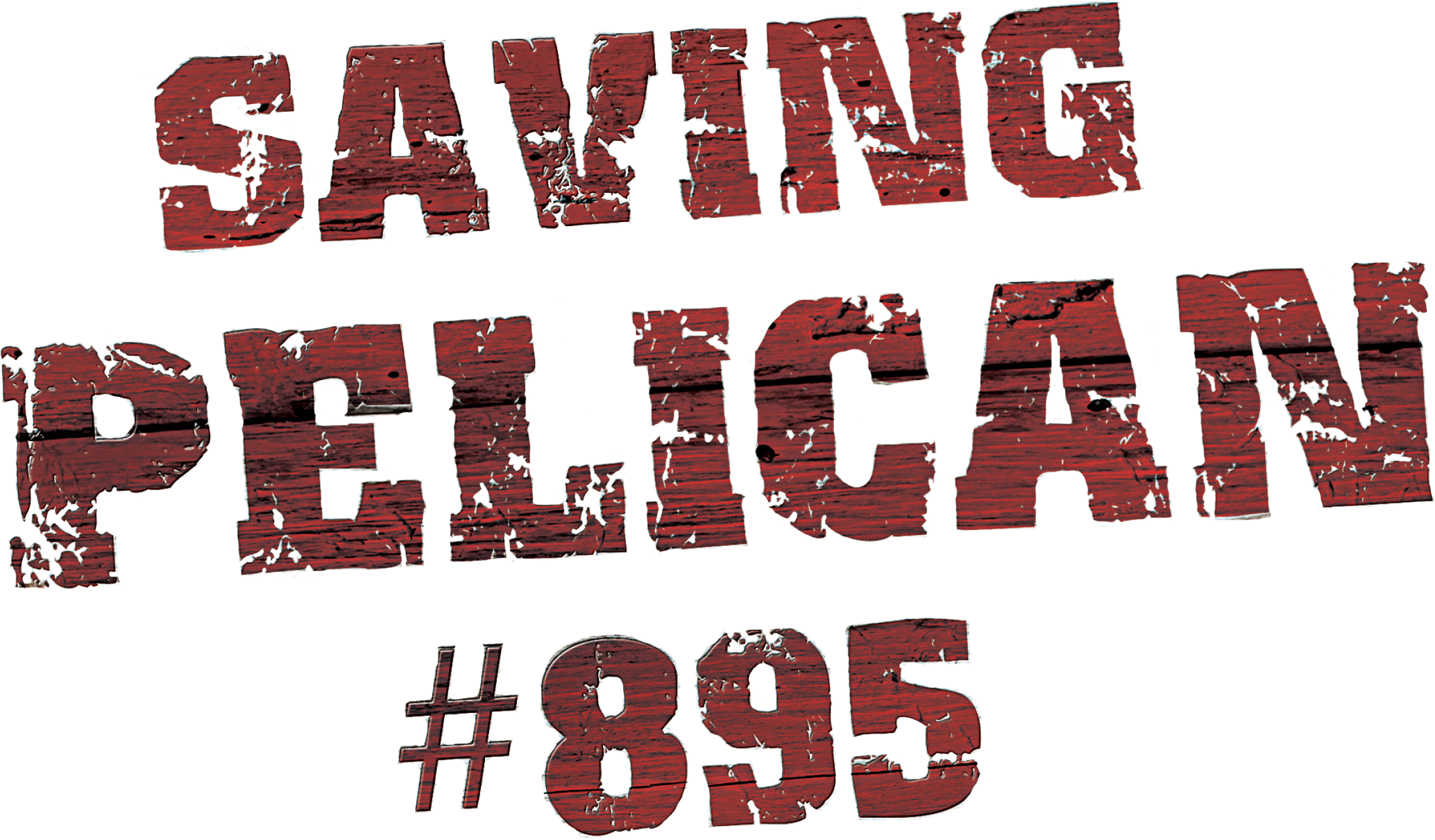 سايفنغ باليكان 895