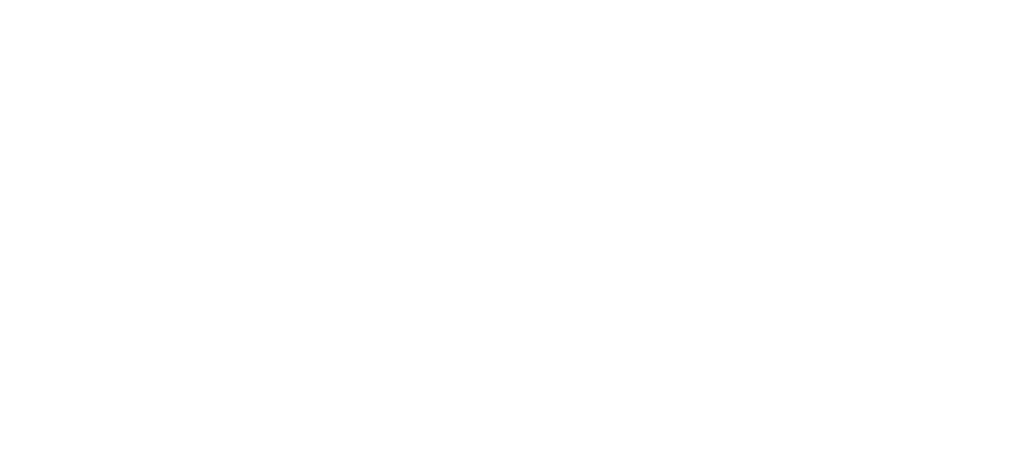الزعيم الزعيم