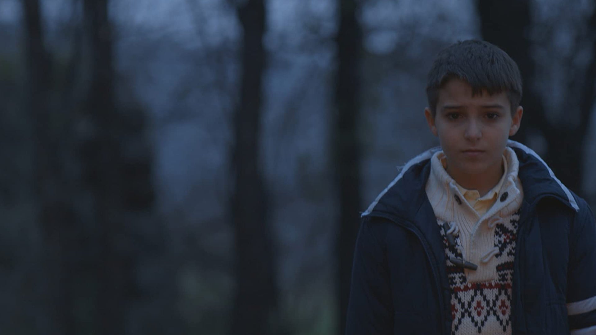 The Rifle, The Jackal, The Wolf And The Boy