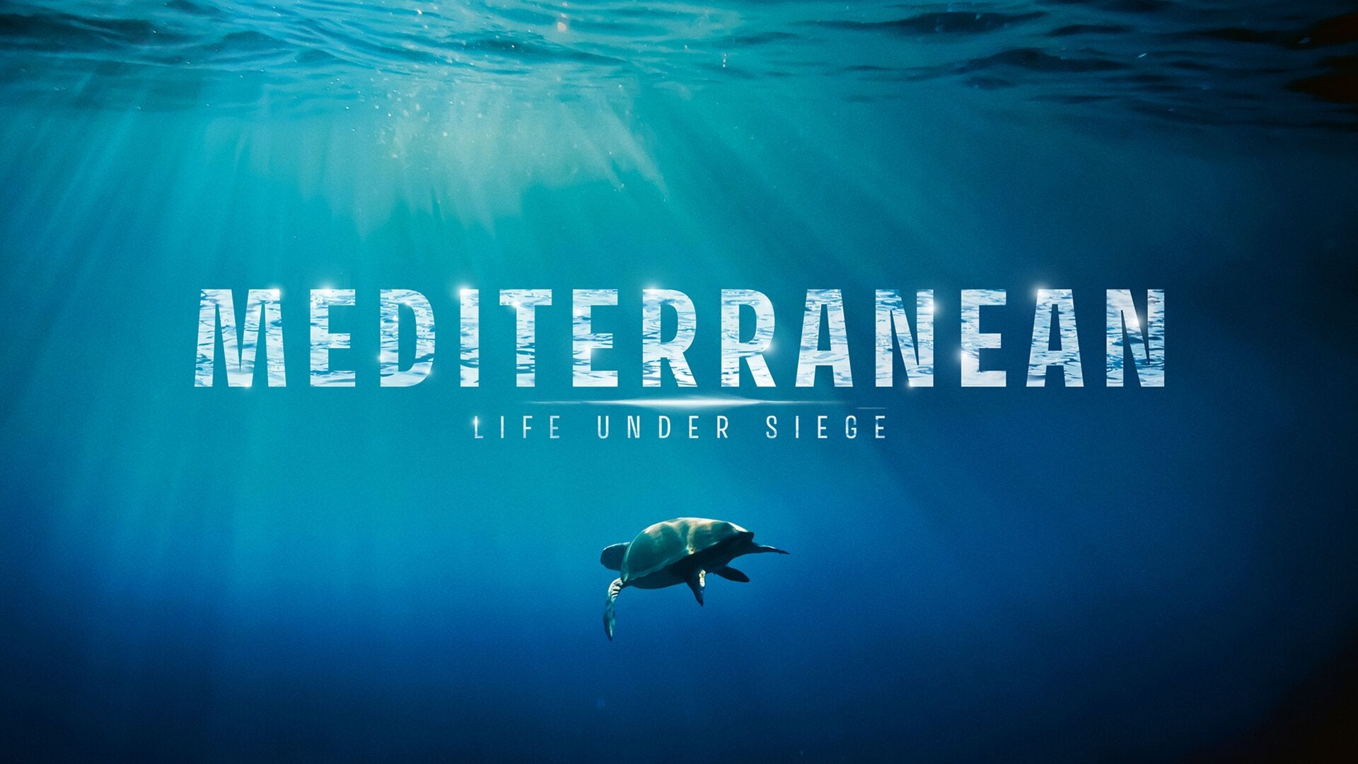 Mediterranean - Life Under Siege