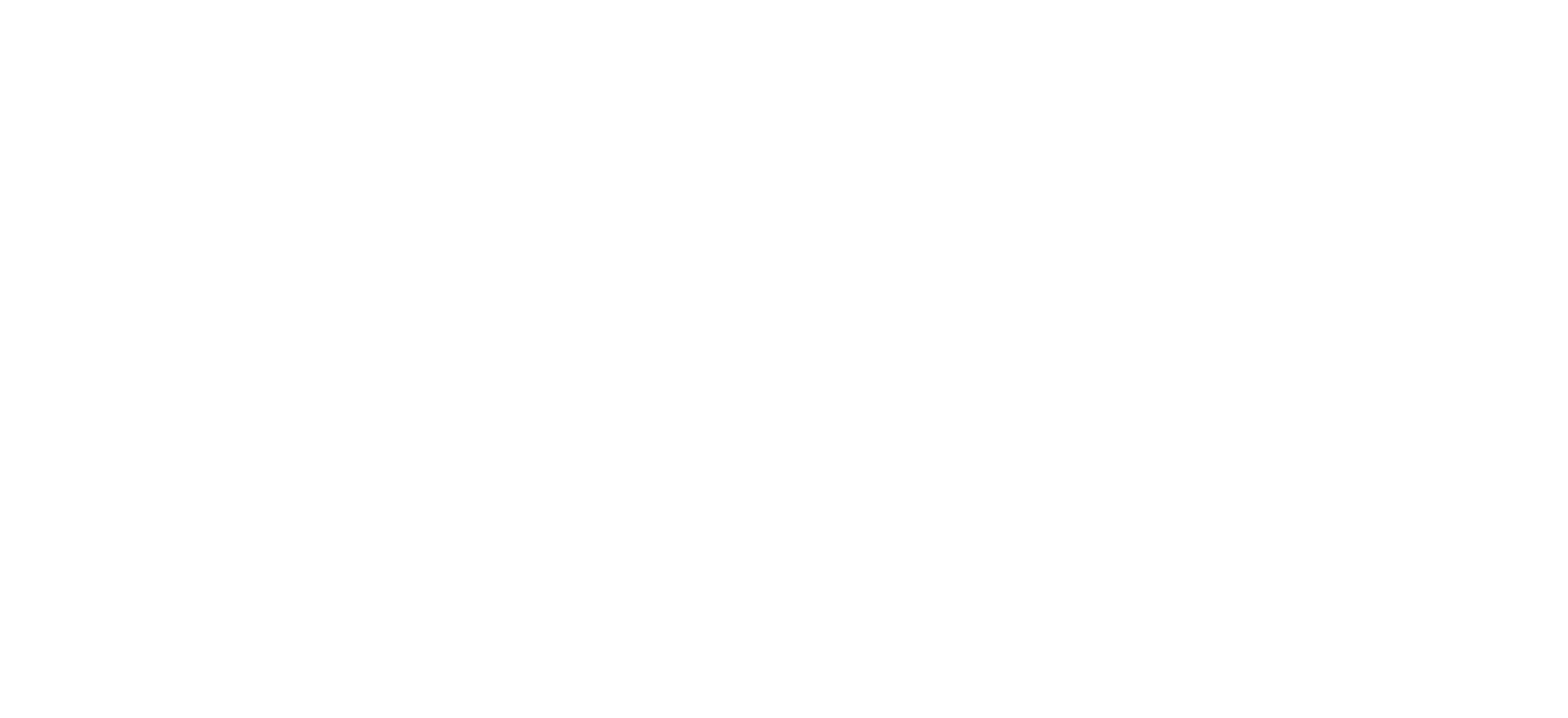Mousa Mousa