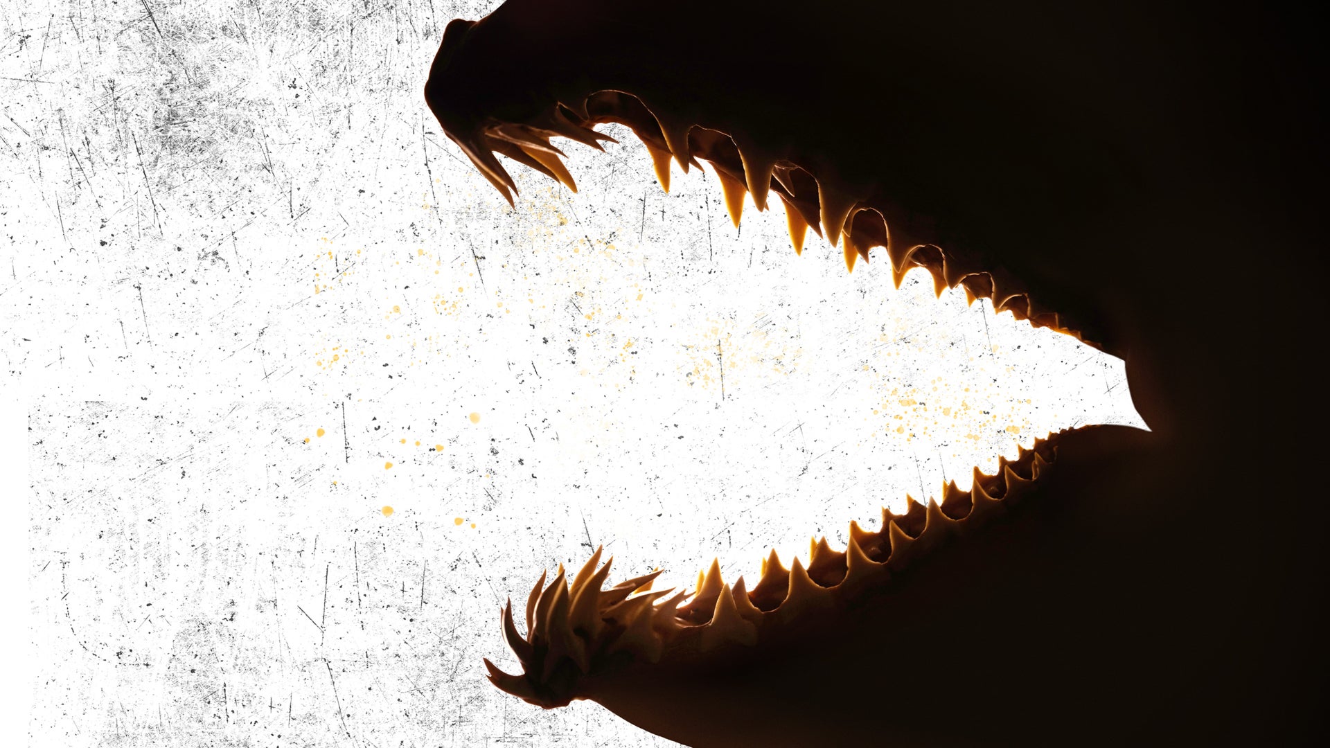 Dawn Of The Monster Mako