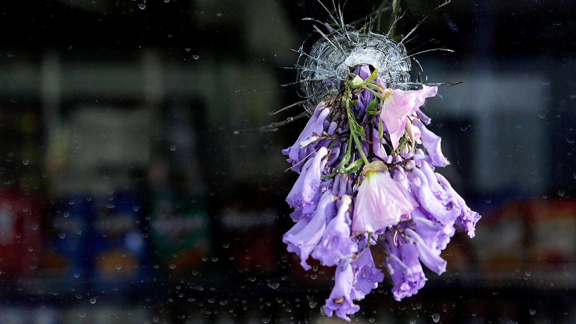 Requiem for the Dead: American Spring 2014