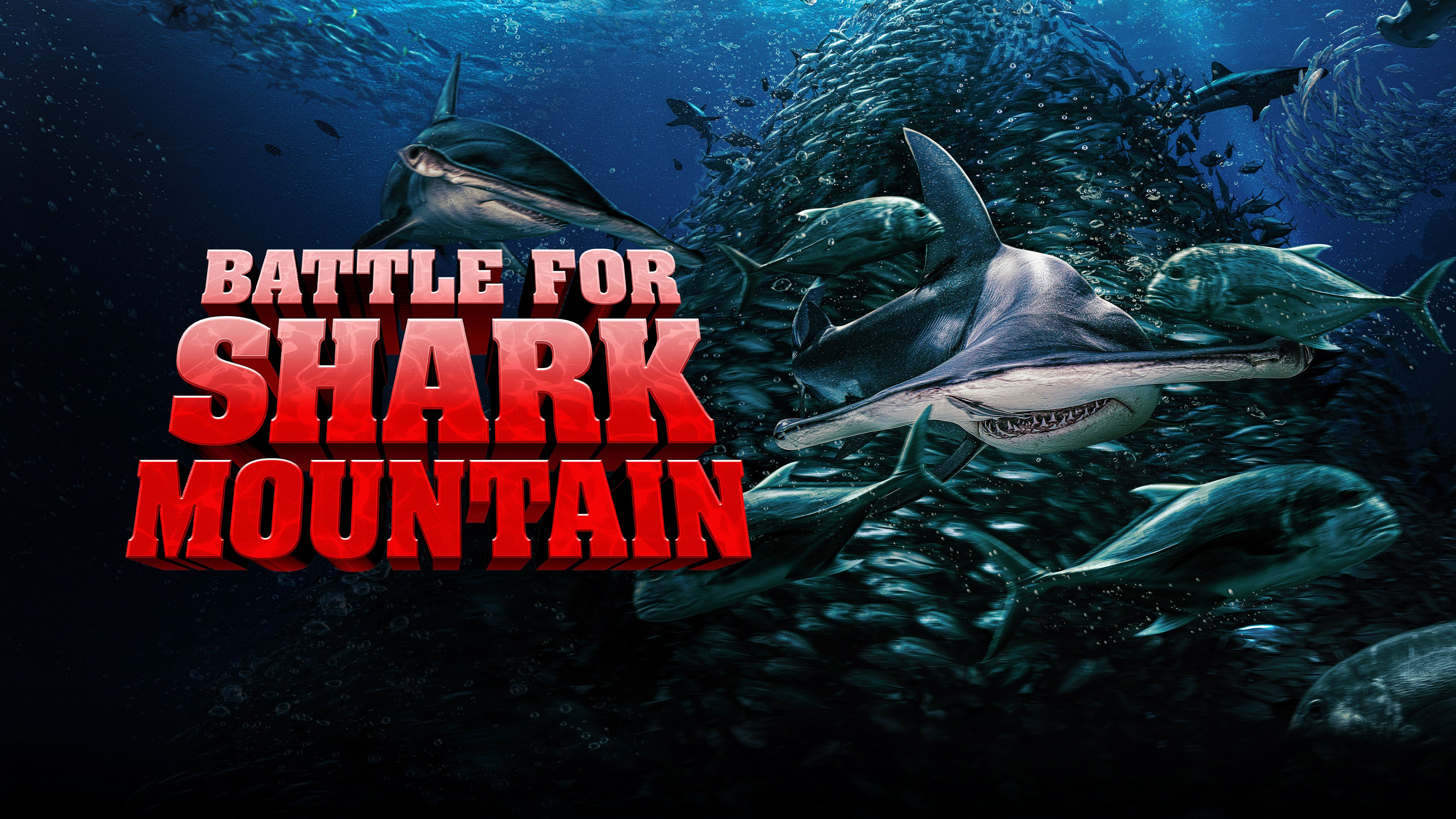 باتل فور شارك ماونتن
