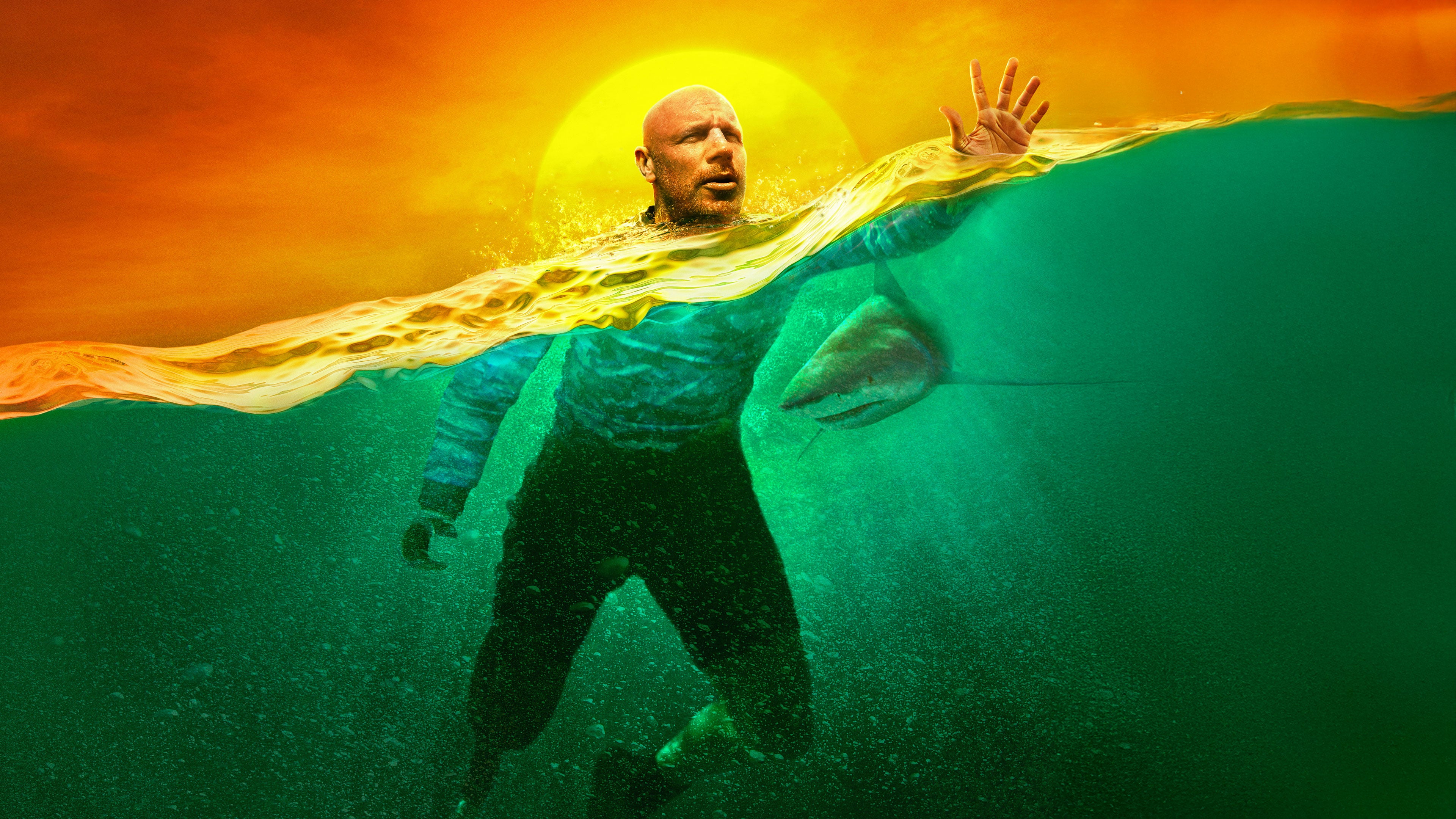 هاو تو سيرفايف إيه شارك أتاك