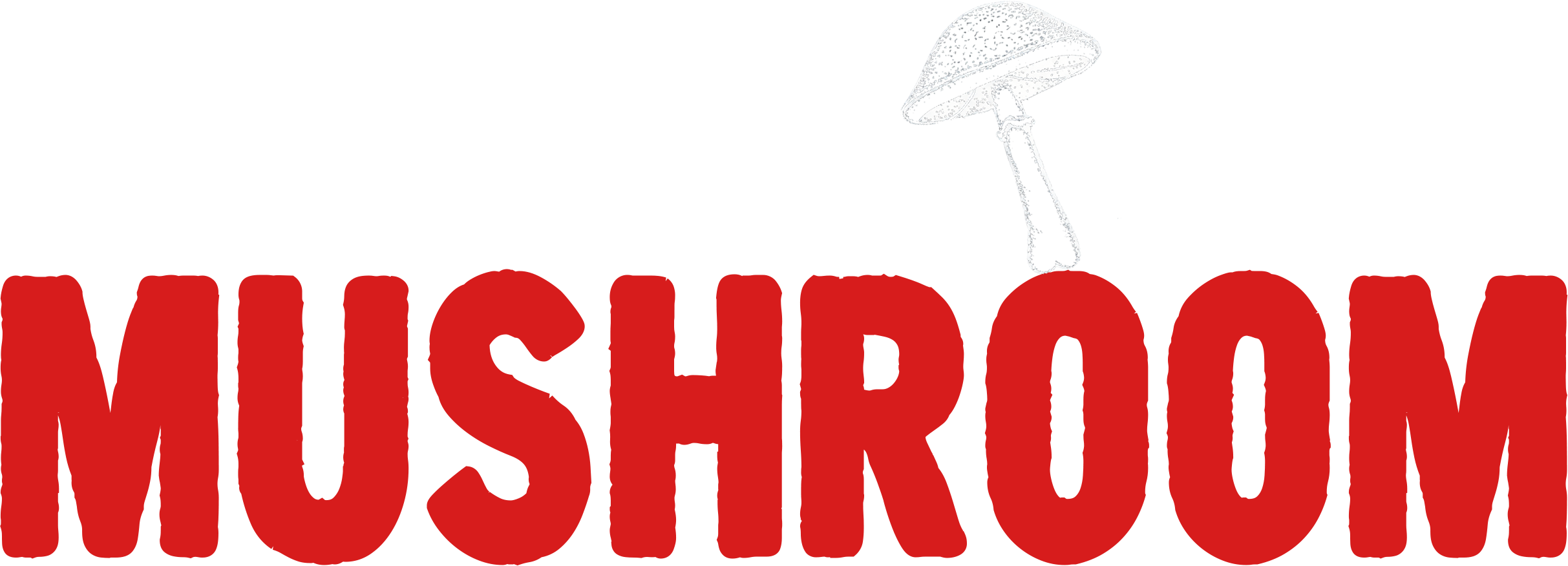 ميردر باي مشروم