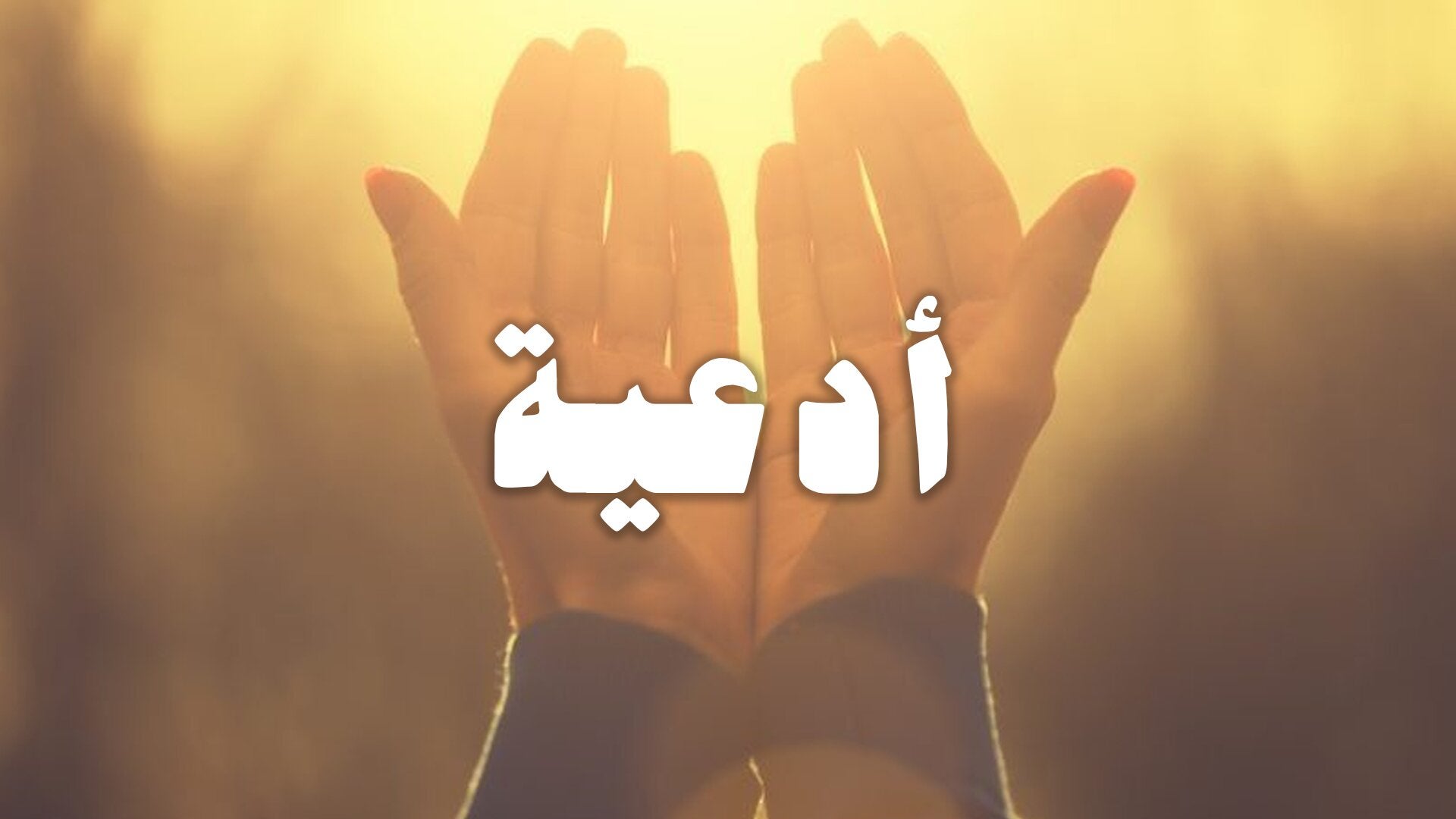 Al Shaikh Issa Bin Rashed Aal Khalefa