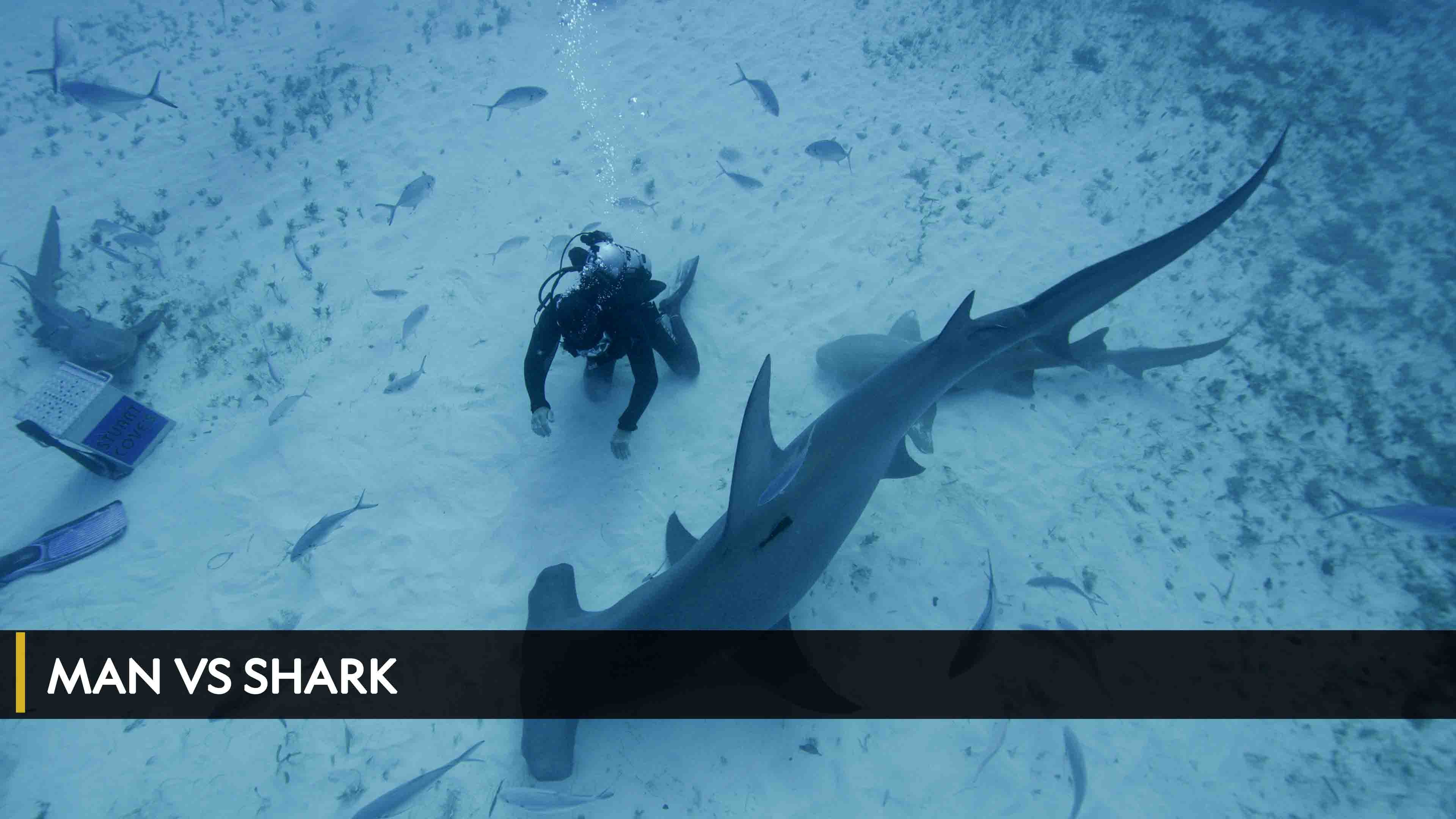 Watch Man vs Shark on TV OSN Home Saudi Arabia