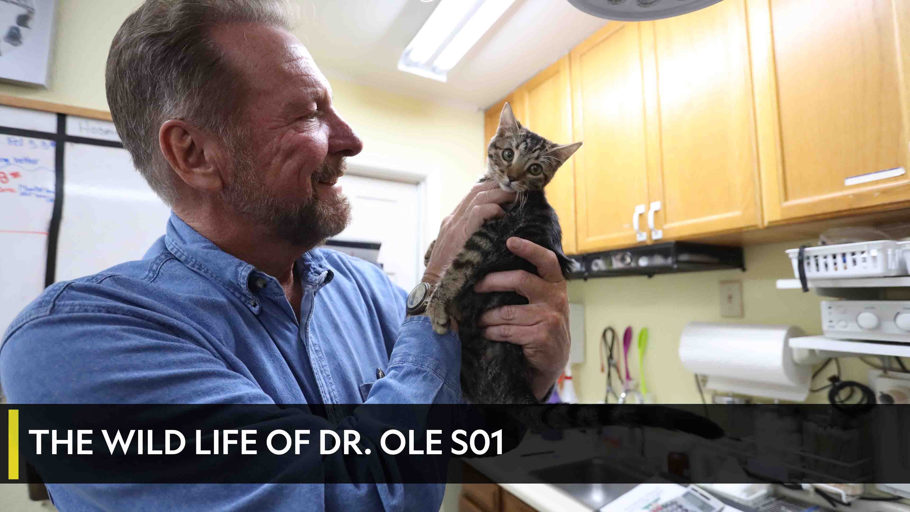 The Wild Life of Dr. Ole
