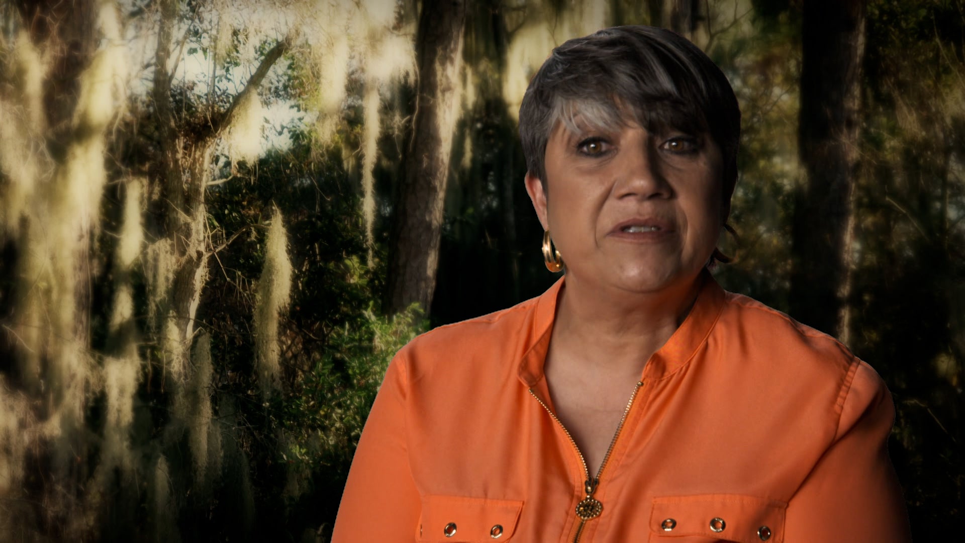 Swamp Murders Season 5 Episode 5 Mystery At Palm Beach