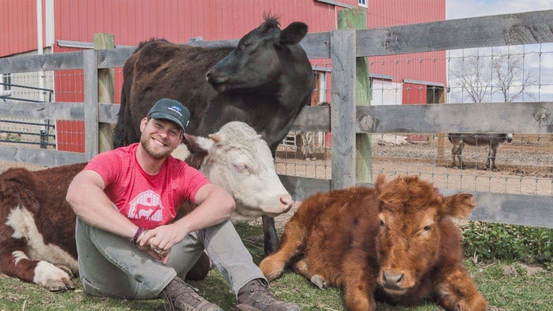 سيفد باي ذا بارن الموسم 1 الحلقة 1 سبرينغ فيفر