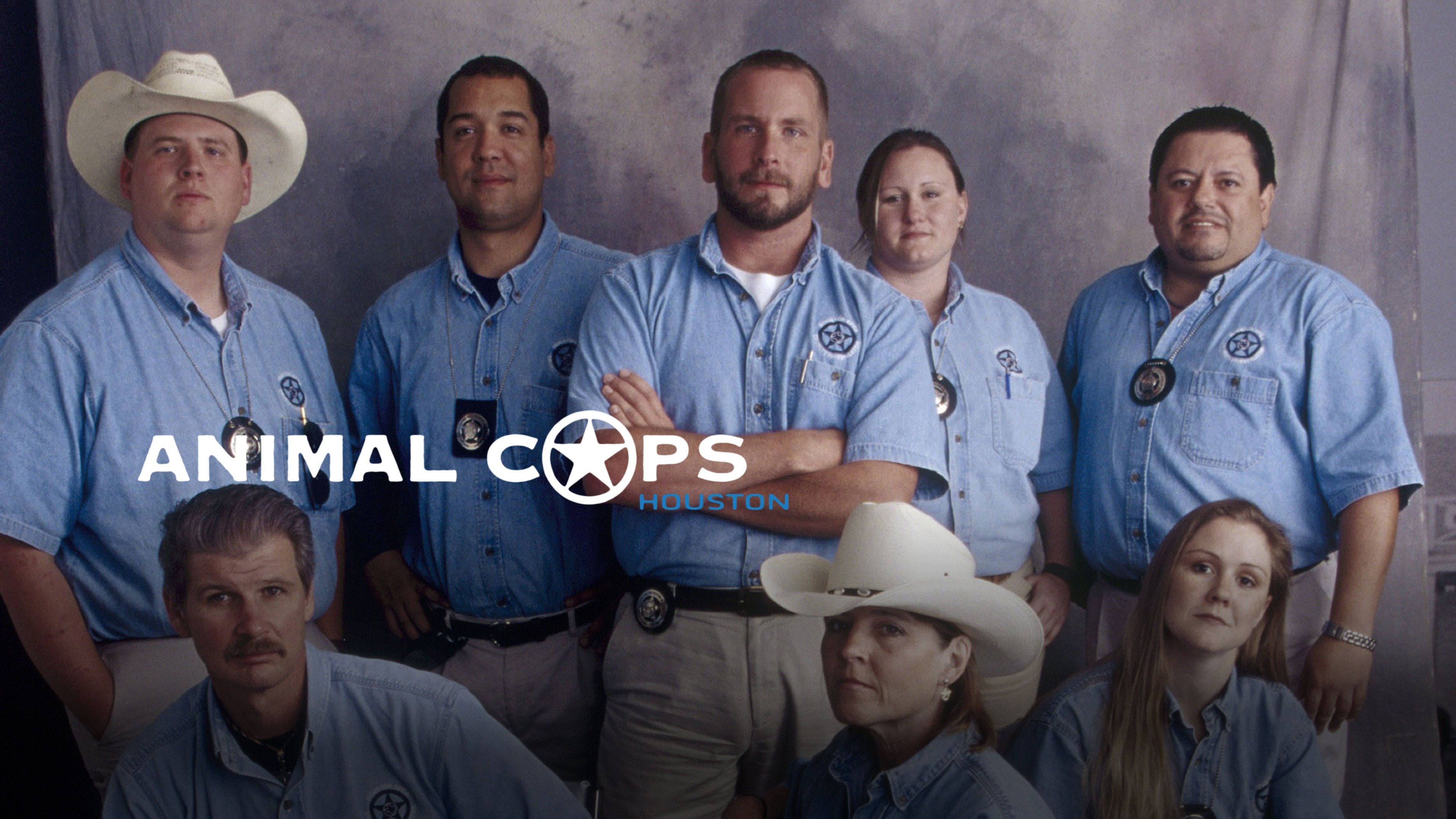 أنيمال كوبس هيوستن الموسم 7 الحلقة 1 بيبي لوف