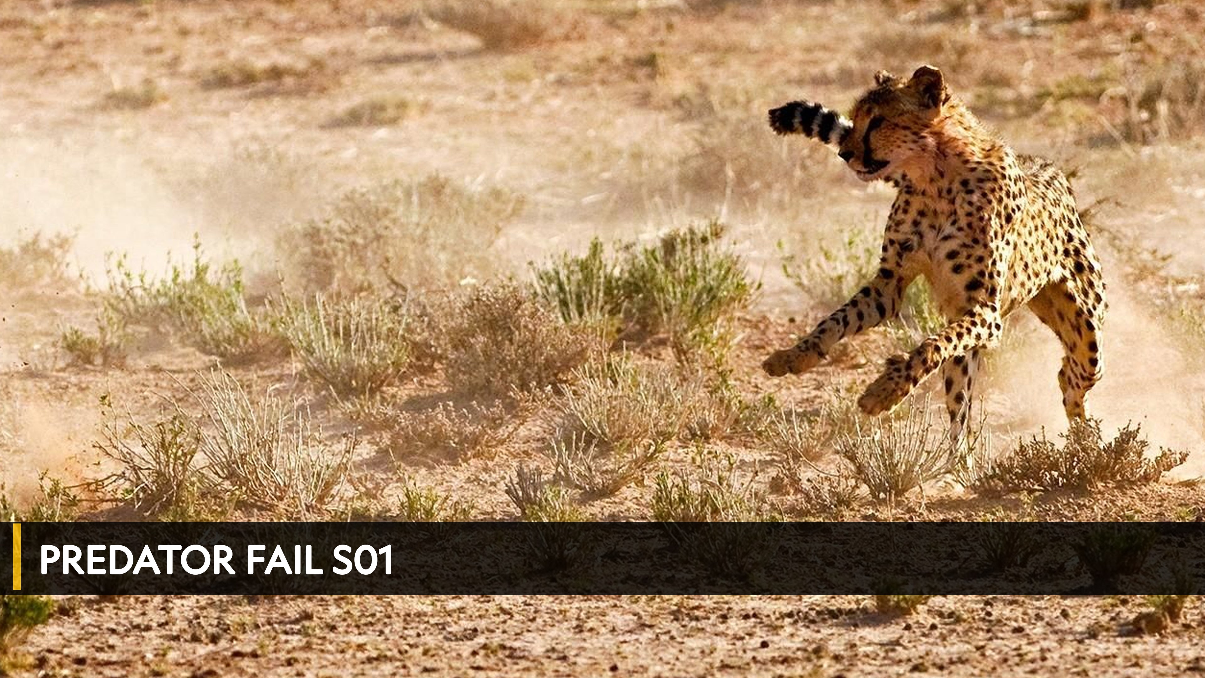 ديب ووتر ديث