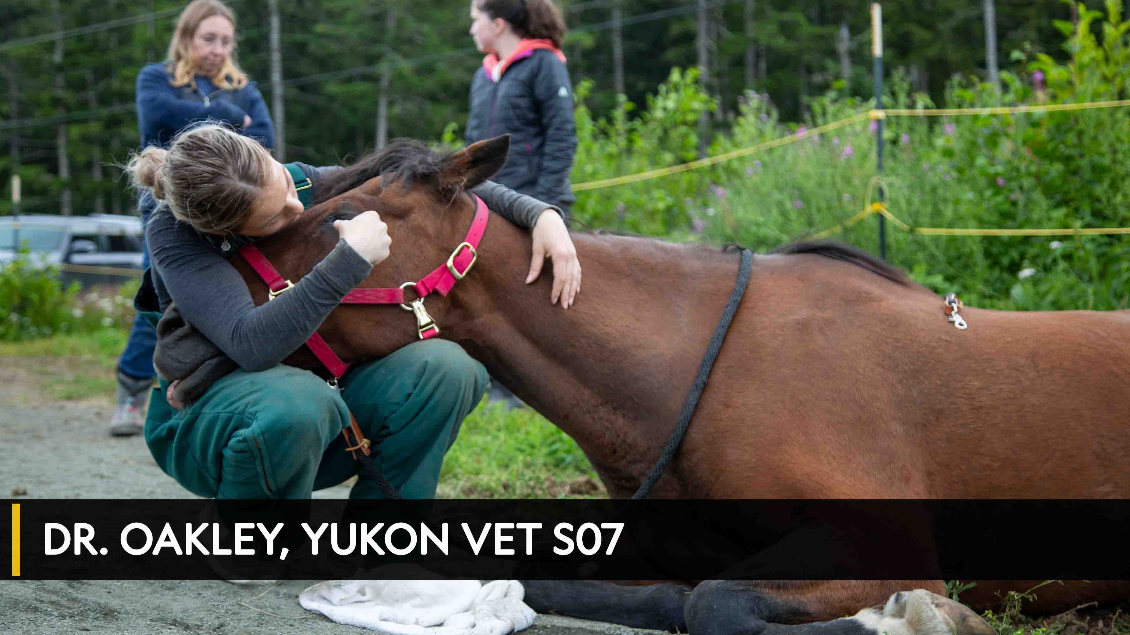 Dr. Oakley, Yukon Vet