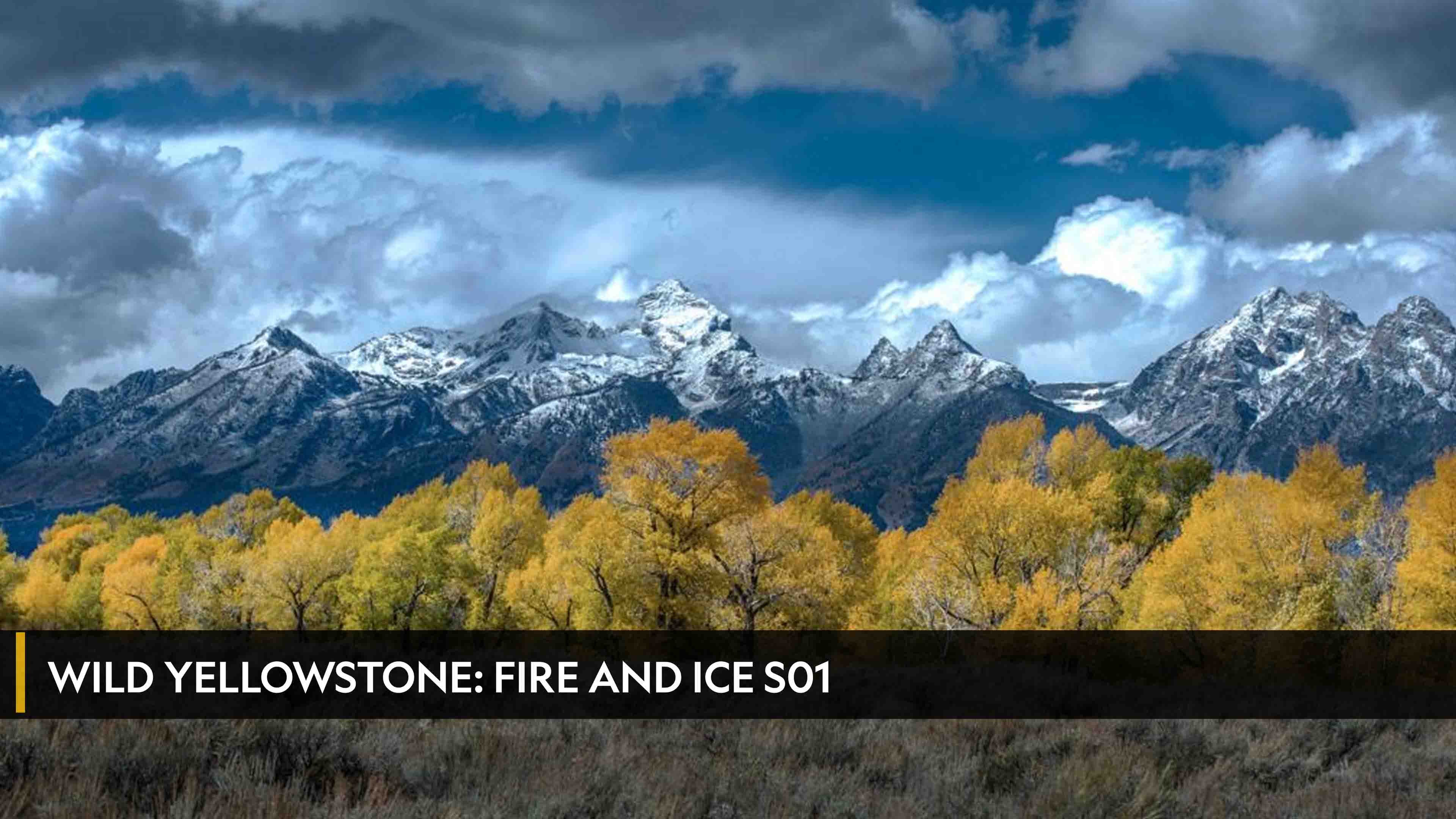 Wild Yellowstone: Fire And Ice