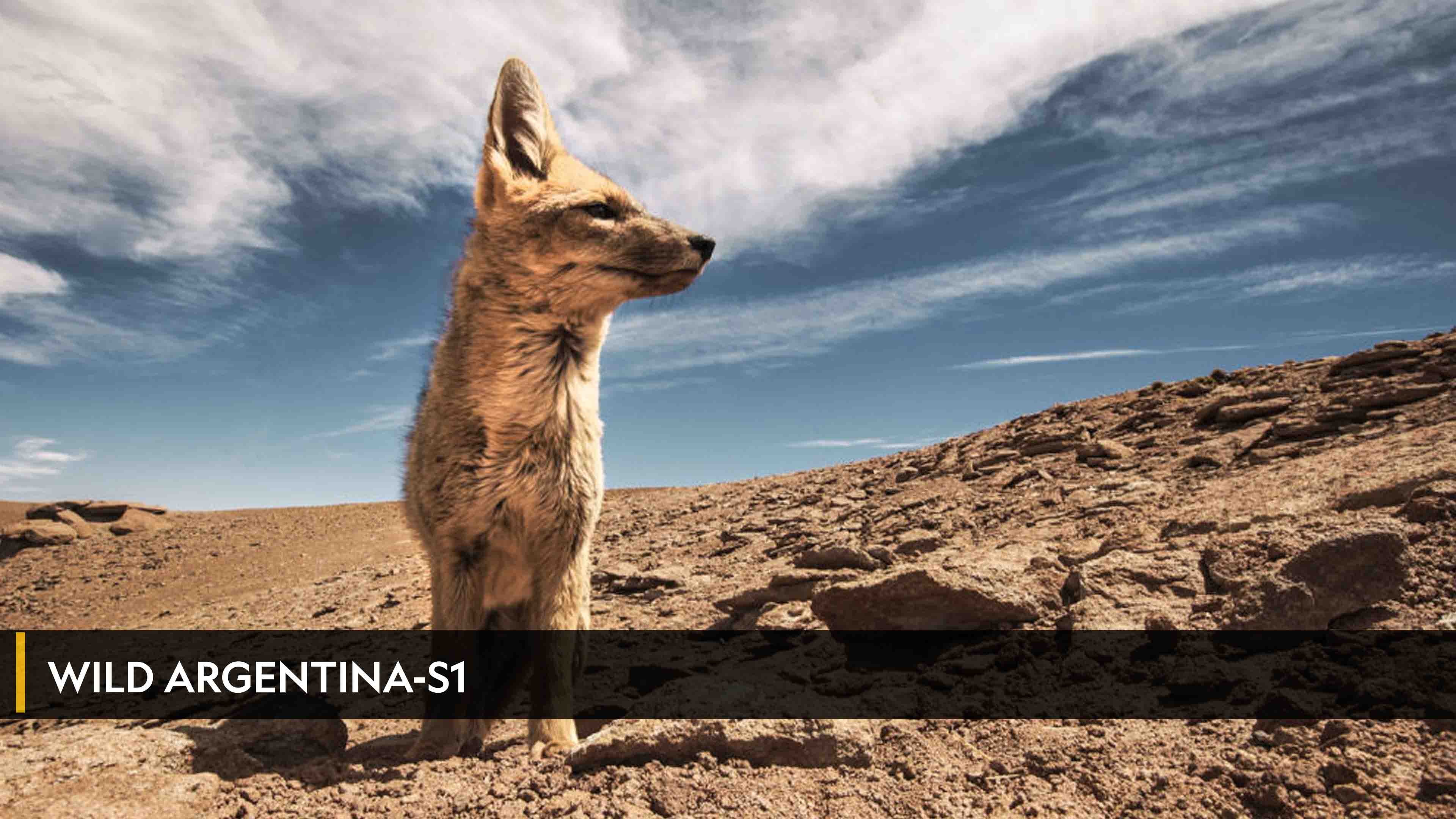 Wild Argentina