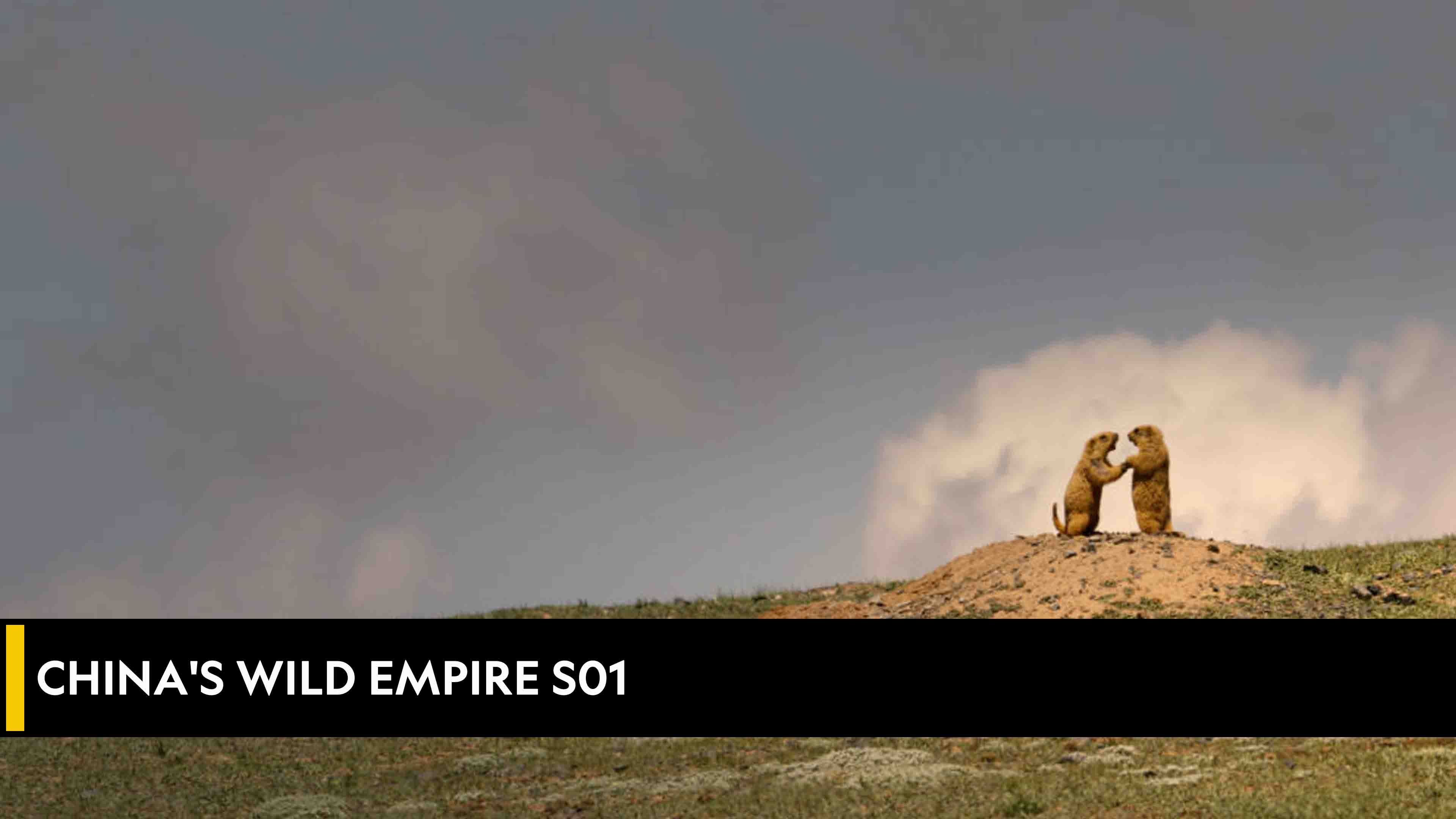 China's Wild Empire 1