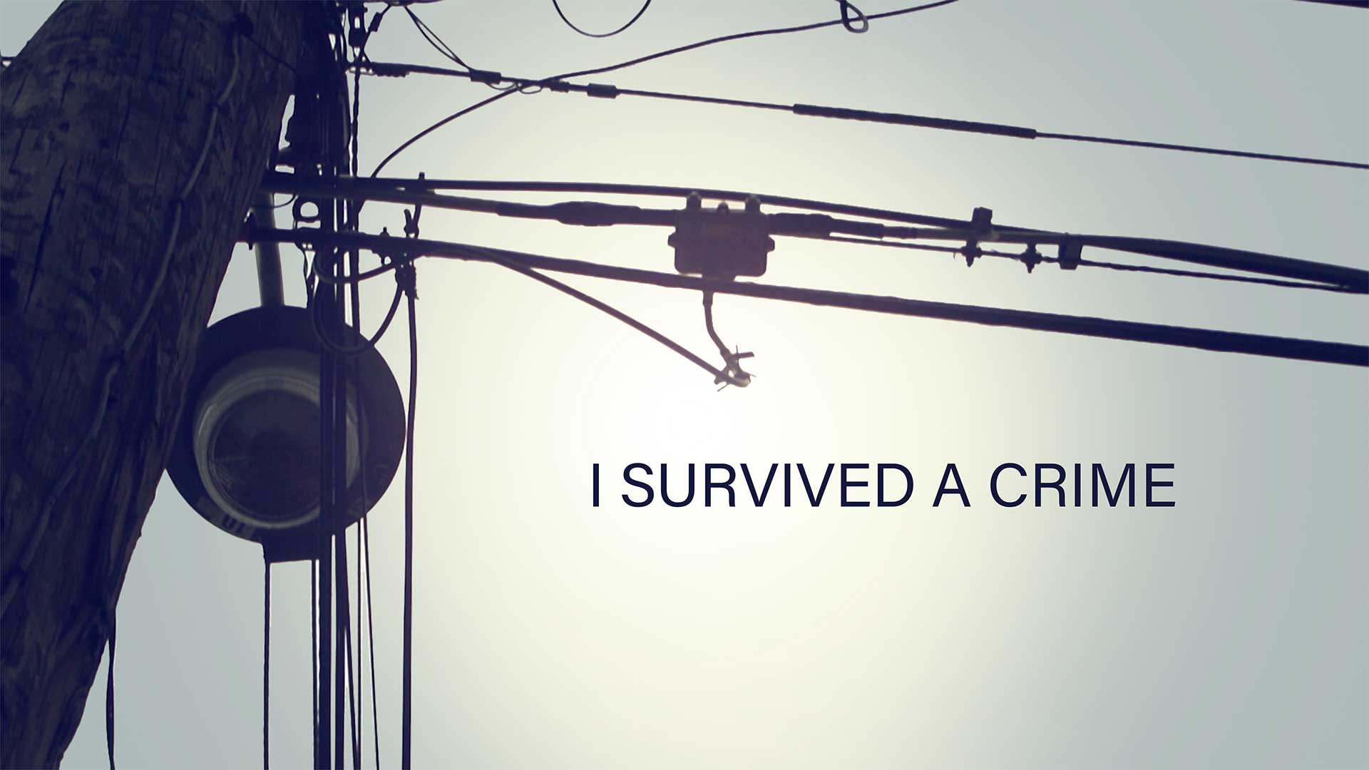 I Survived a Crime