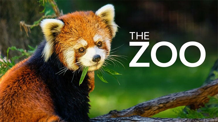 ذا زو الموسم 3 الحلقة 1 A Sea Lion Pup Grows Up