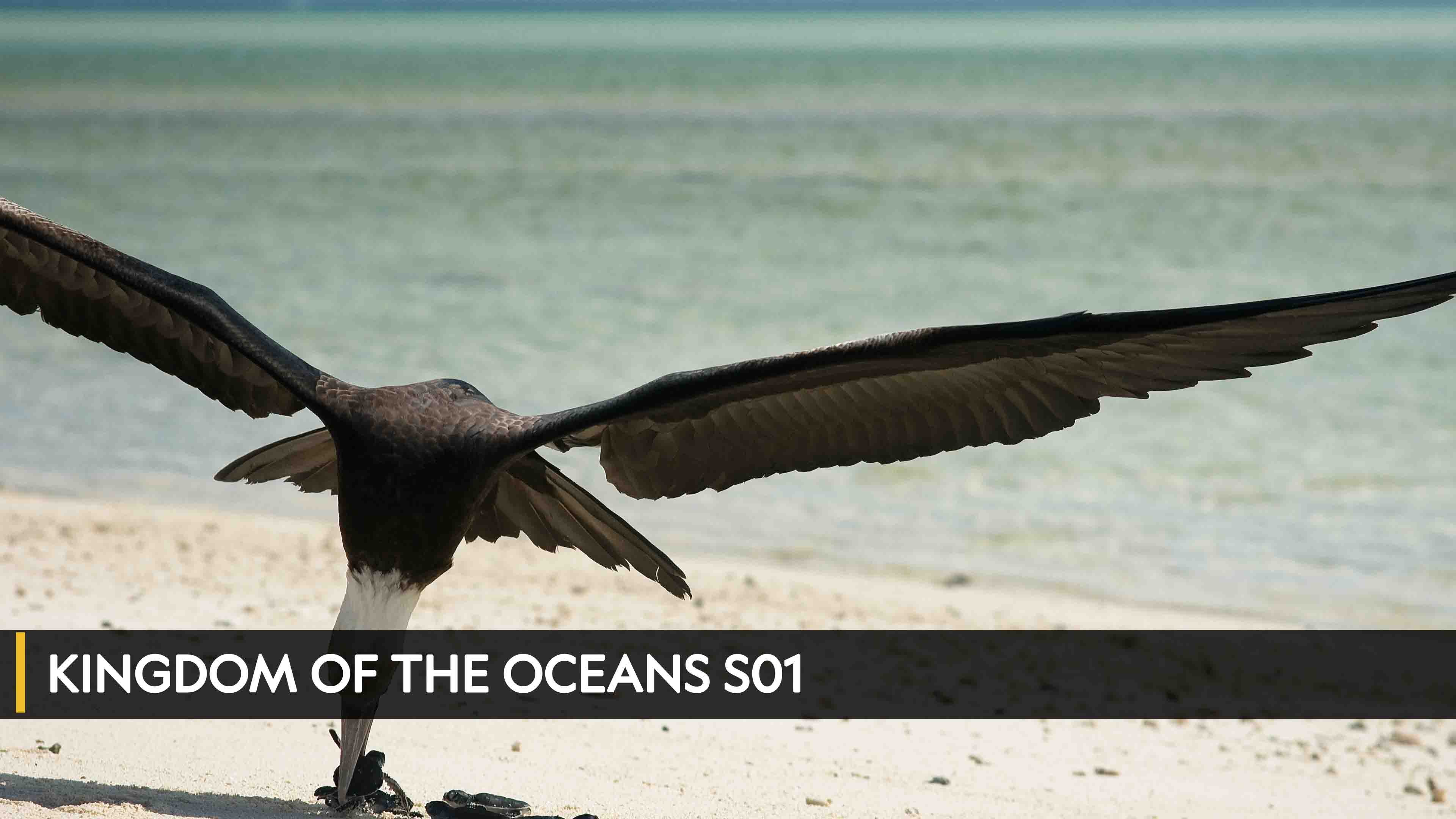 Kingdom of the Oceans الموسم 1 الحلقة 1 Giants of The Deep