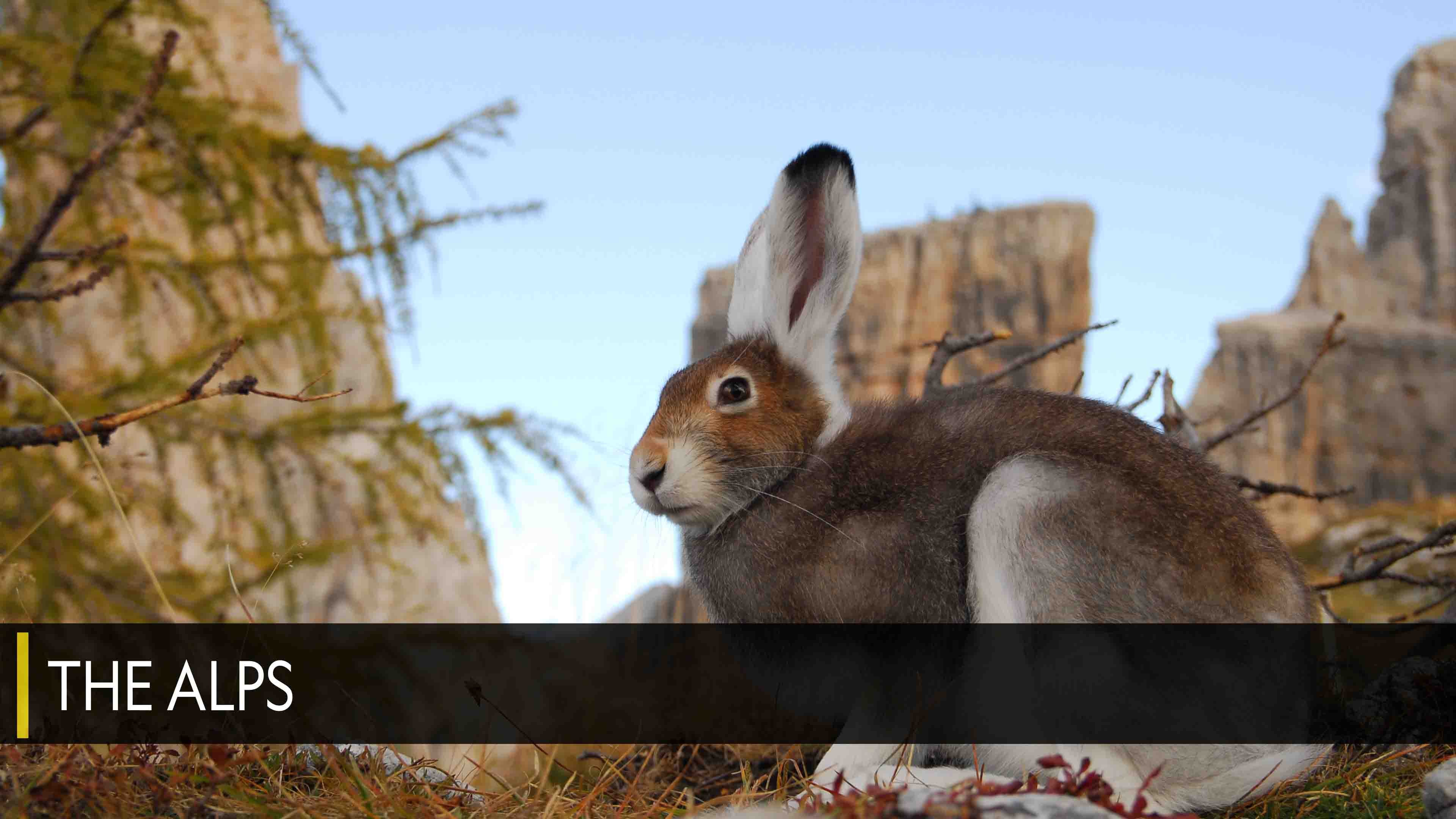 The Alps Season 1 Episode 1 The High Life