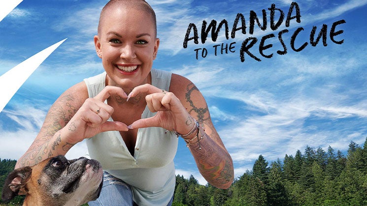 أماندا تو ذا رسكيو الموسم 1 الحلقة 1 وايلدفاير بابي رسكيو