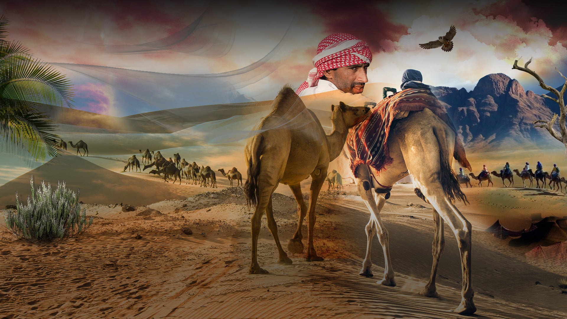 إيلاف قريش: رحلة الشتاء والصيف