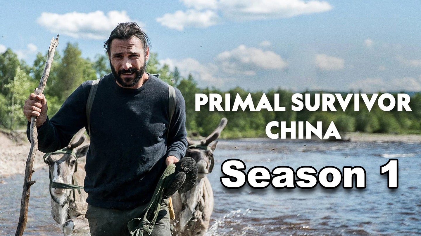 برايمل سرفايفر تشاينا