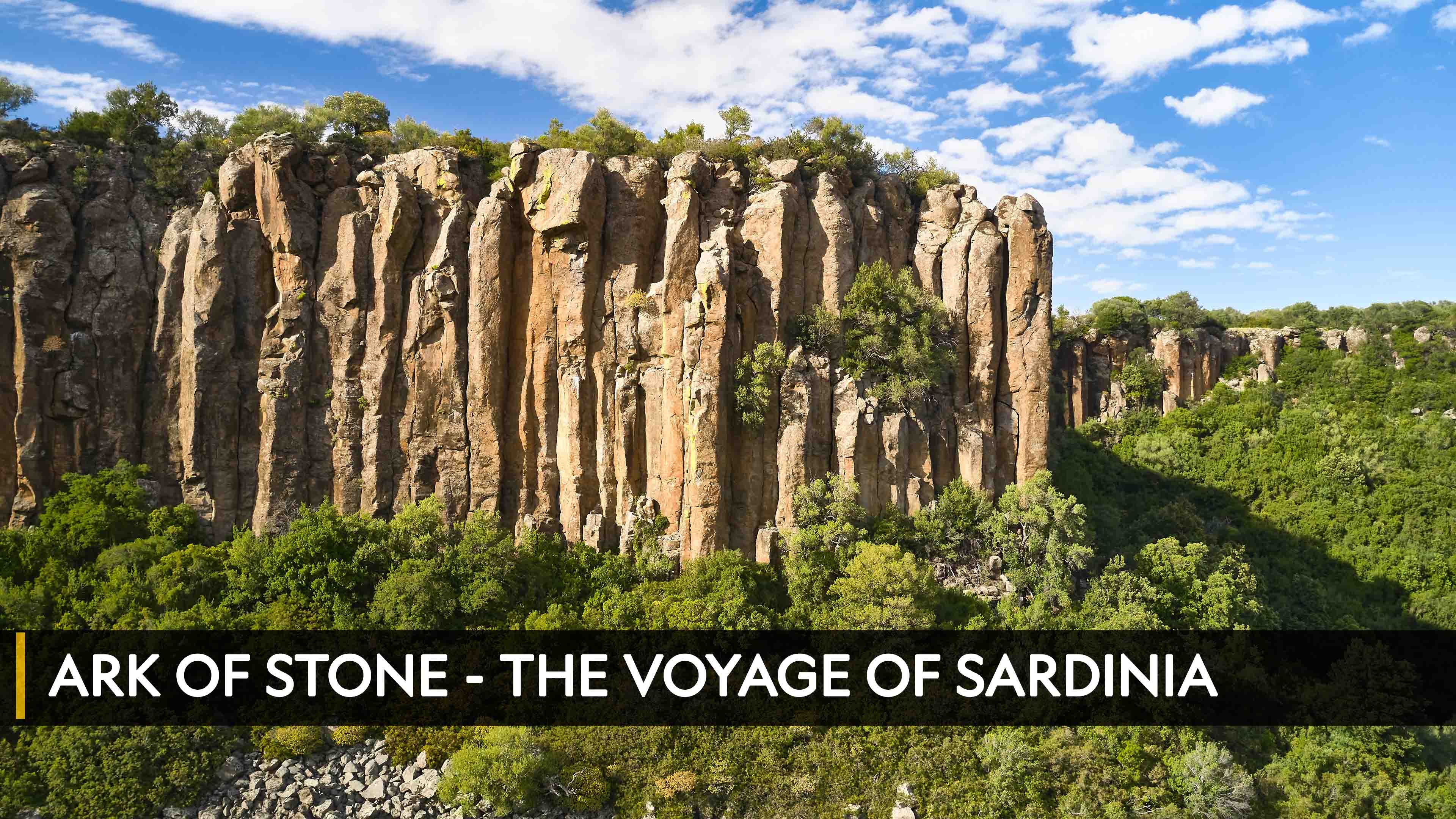 Animals Gone Wild Season 1 Episode 1 Disorderly Conduct