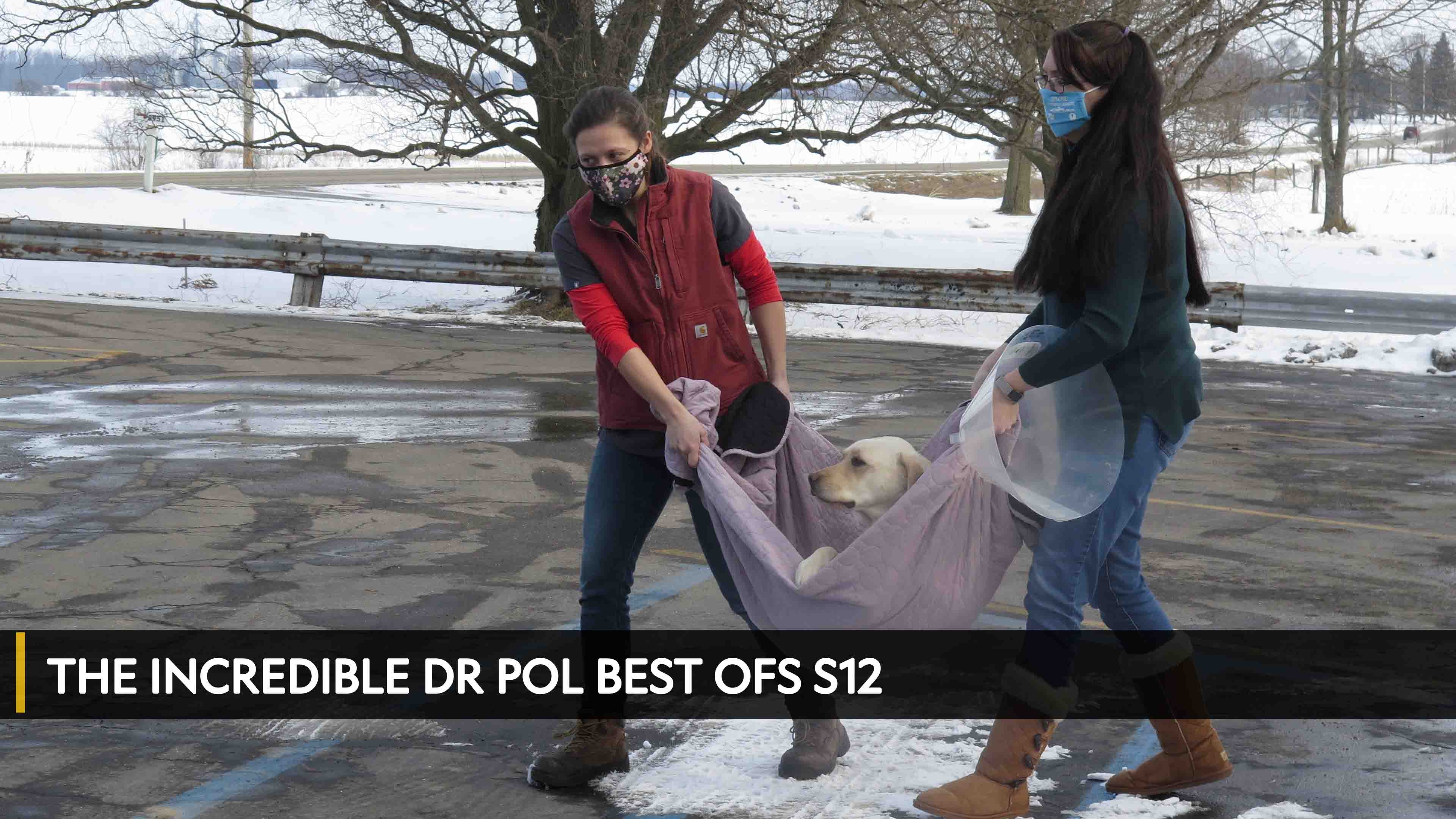 The Incredible Dr Pol Best Ofs