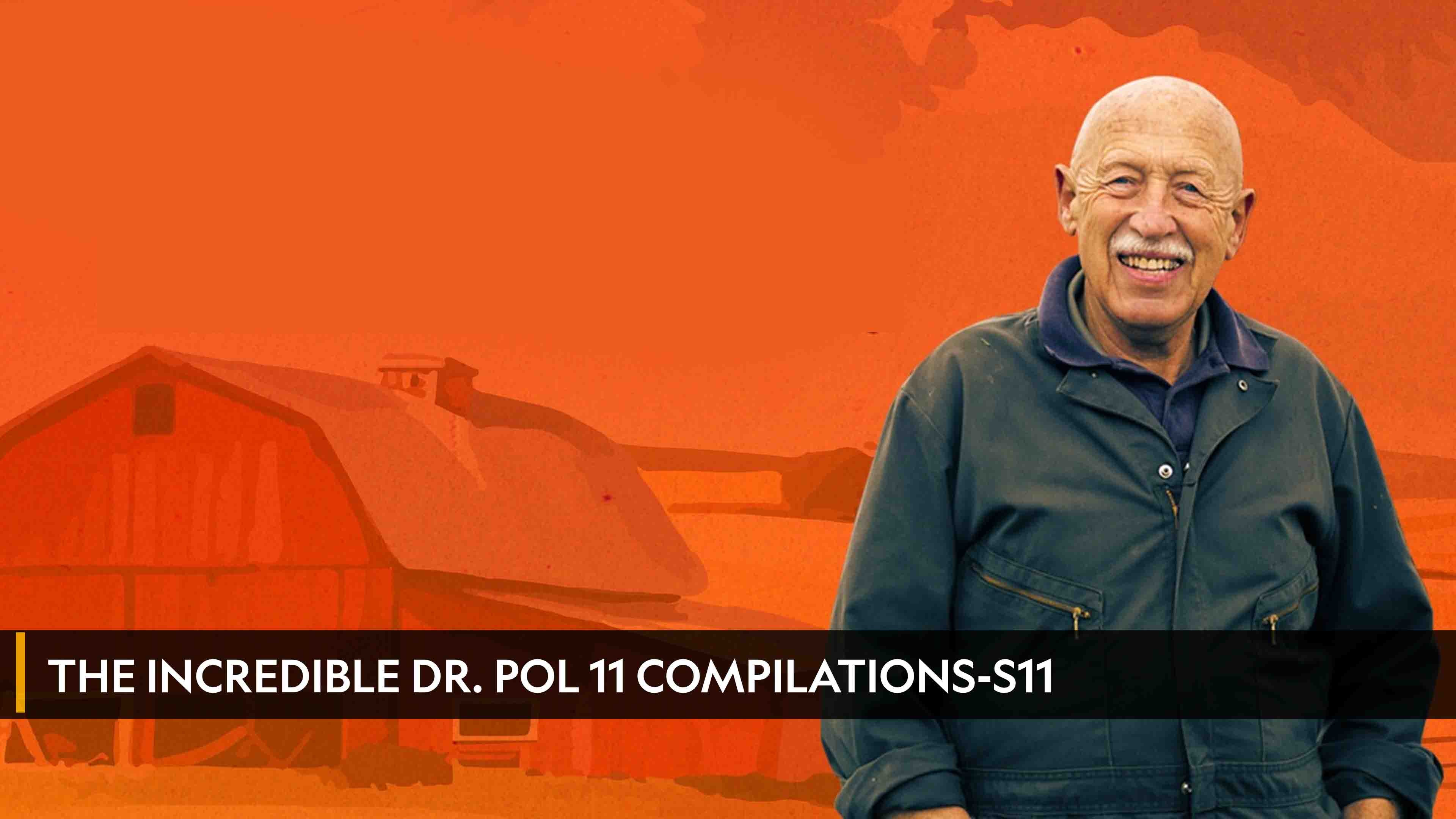 The Incredible Dr. Pol 11 Compilations