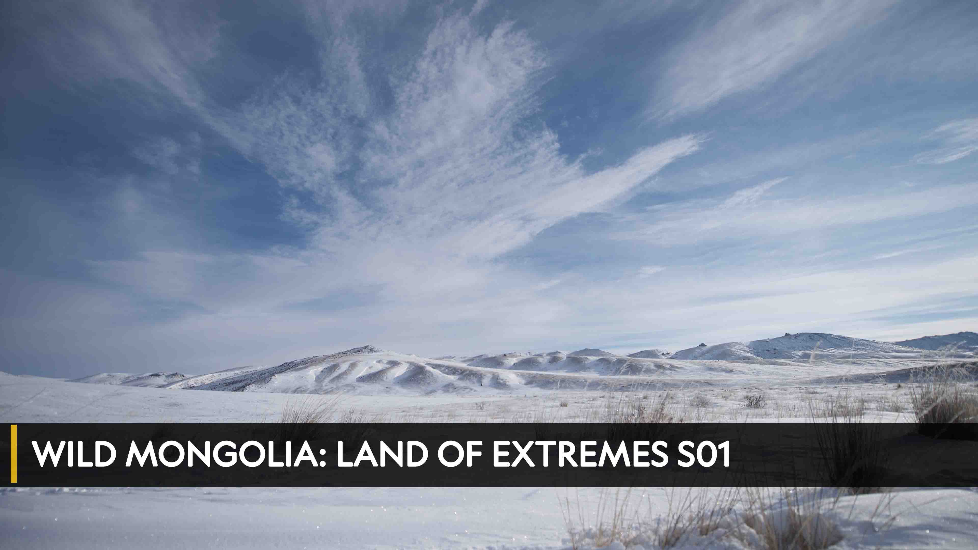 Wild Mongolia: Land of Extremes