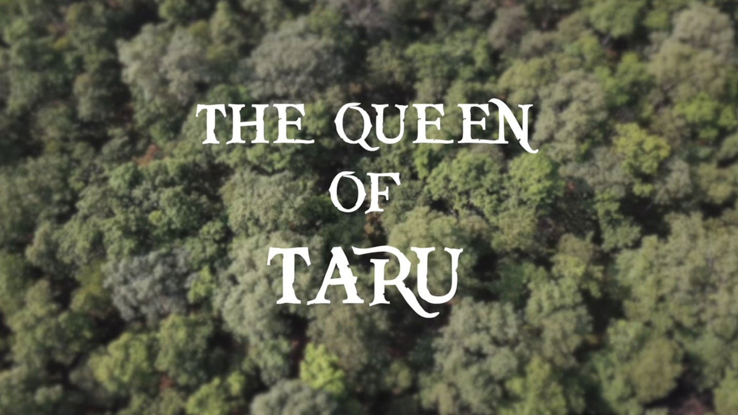 Tiger Queen of Taru الموسم 1 الحلقة 1 Tiger Queen of Taru