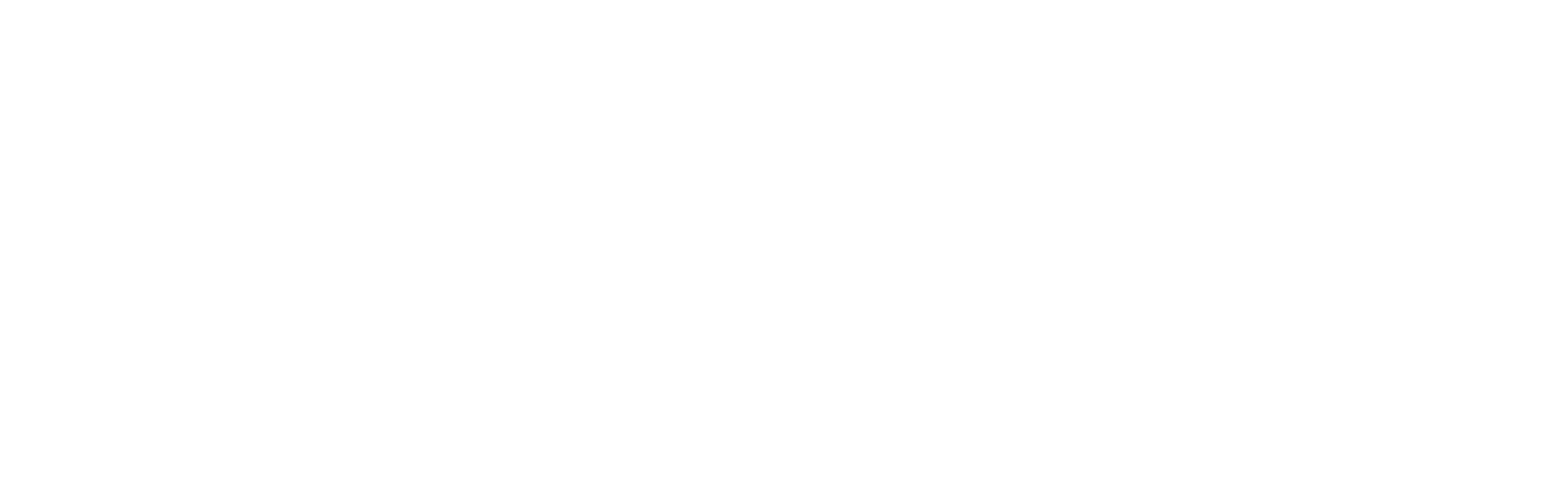 90 داي فيانسيه: ذا أوذر واي