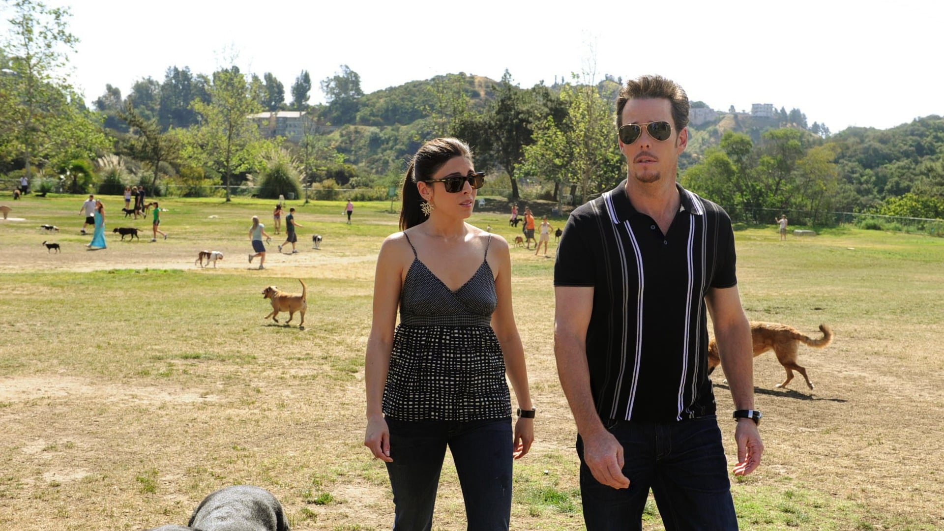 Entourage Season 6 Episode 7 No More Drama
