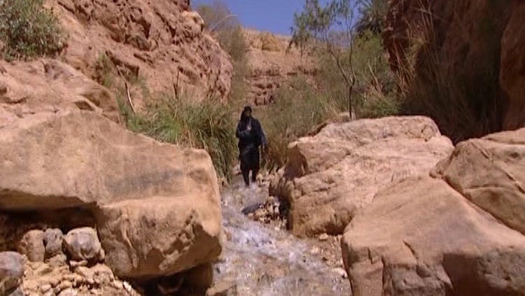 الفرداوي الموسم 1 الحلقة 1 الحلقة الأولى