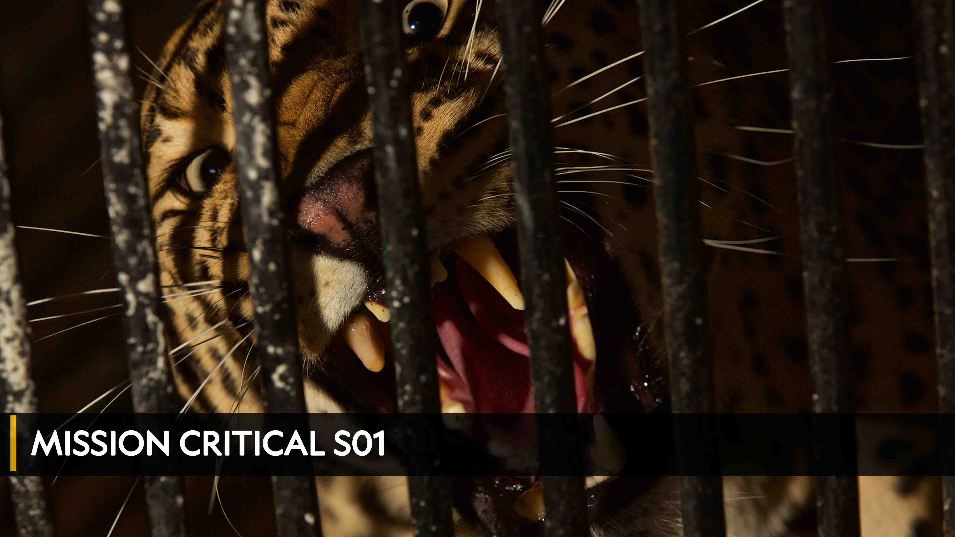 Mission Critical Season 1 Episode 1 Leopards At The Door