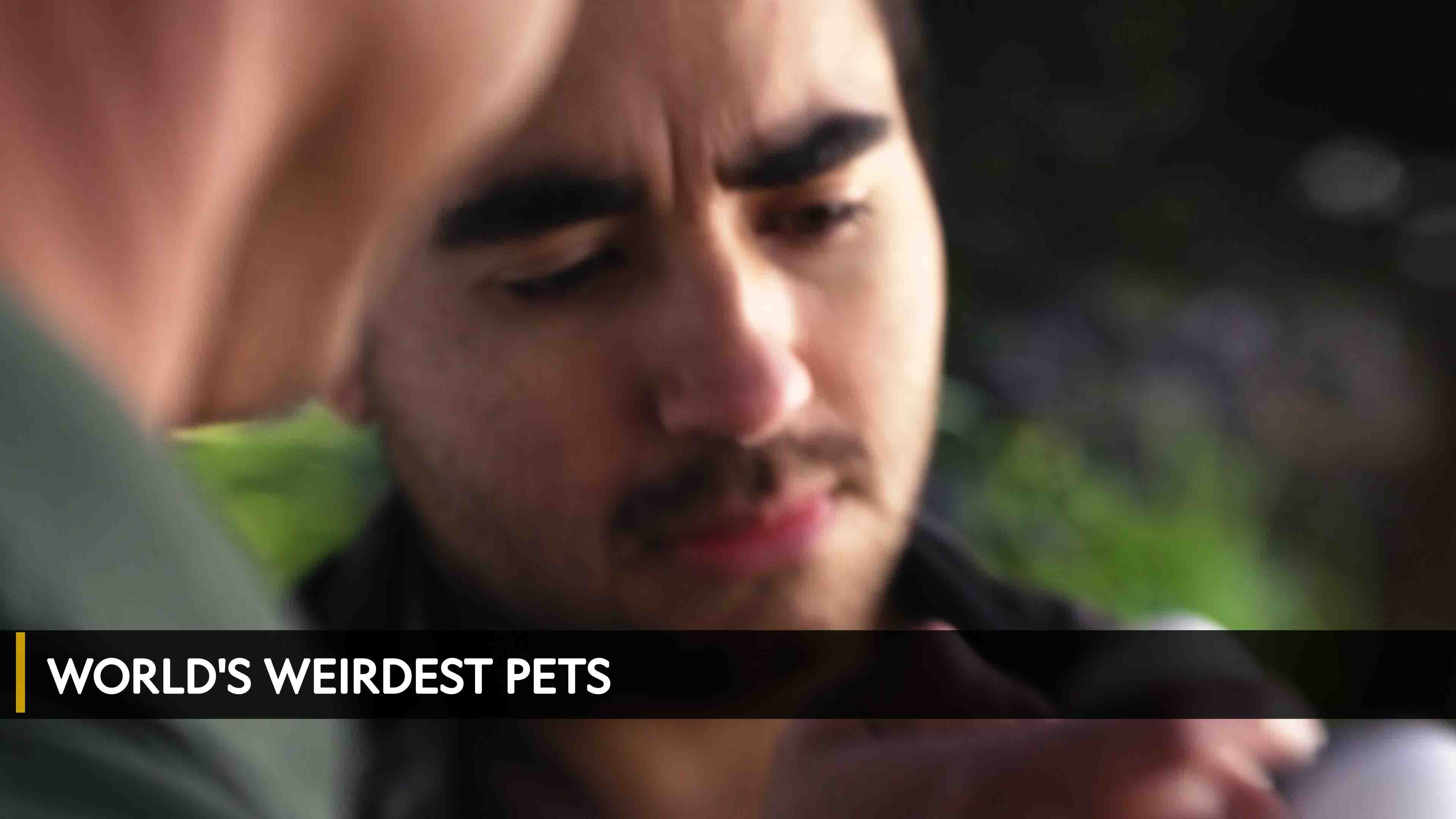 World's Weirdest Pets Season 1 Episode 1 Micro Pets