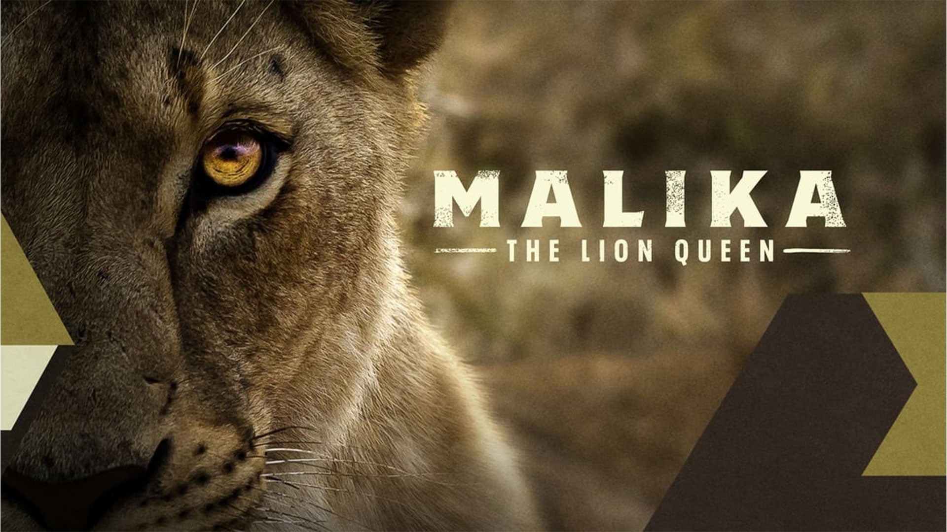 Malika: The Lion Queen الموسم 1 الحلقة 1 Death Knocks