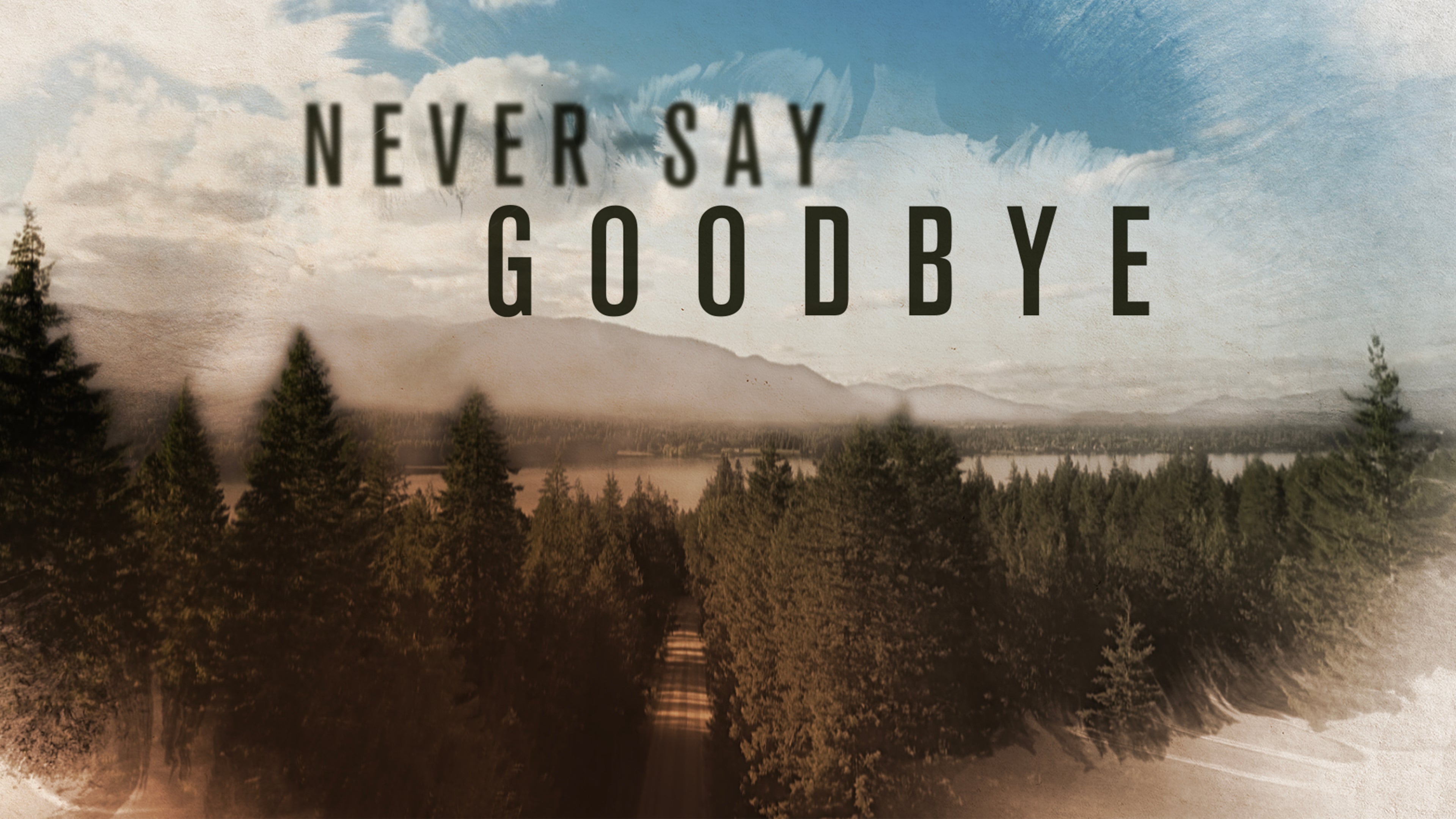 Never Say Goodbye