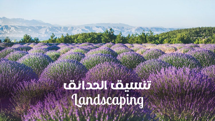 تنسيق الحدائق الموسم 1 الحلقة 17 الحلقة السابعة عشر