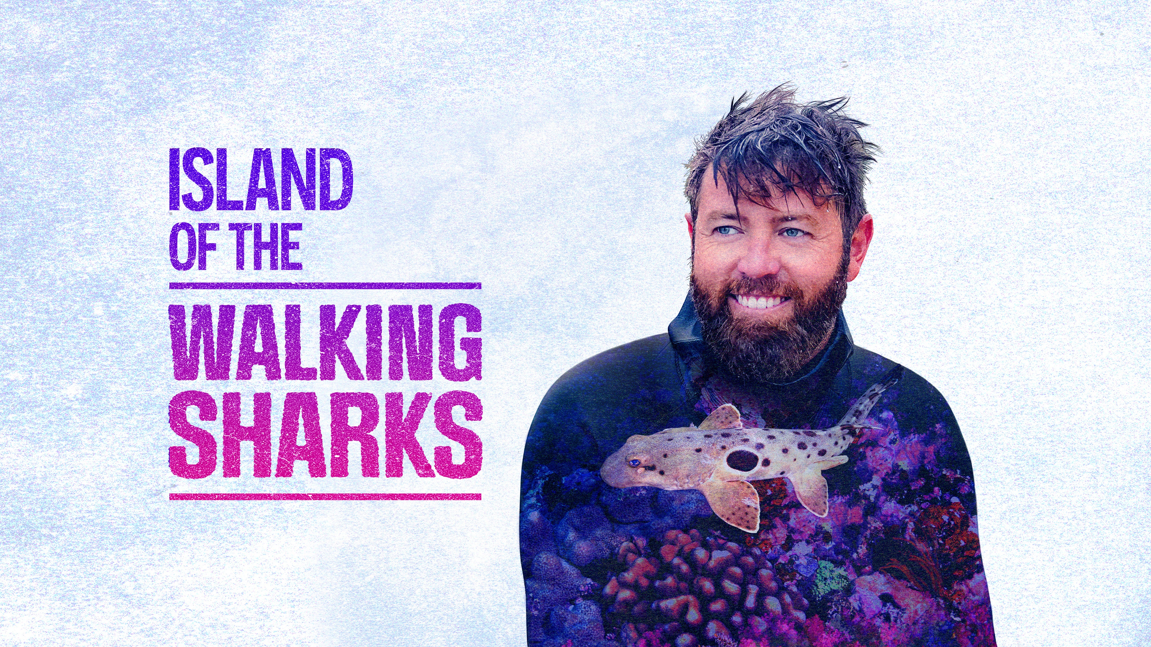Watch Island of the Walking Sharks on TV OSN Home UAE