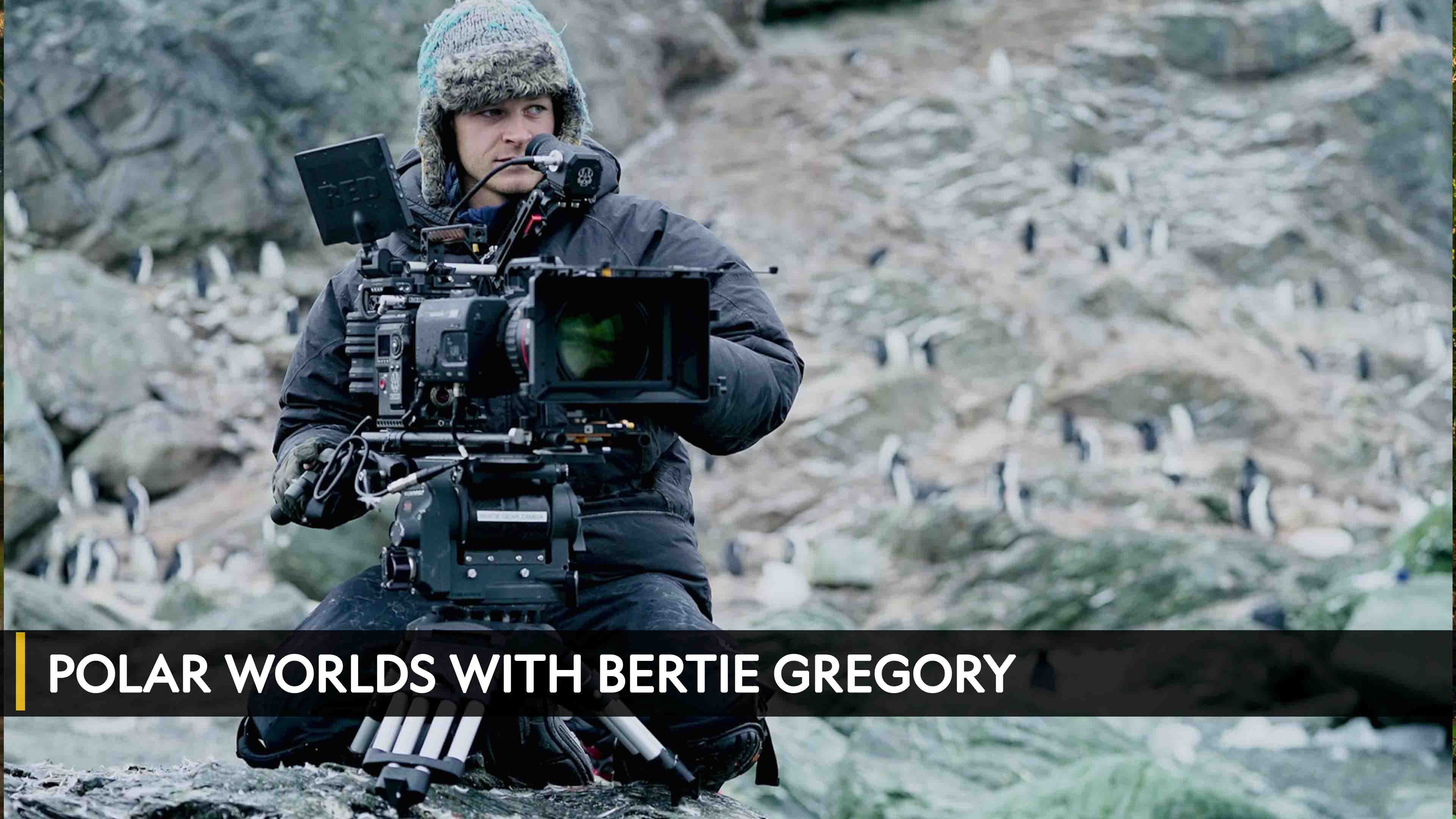 Watch Polar Worlds with Bertie Gregory OSNtv Chad