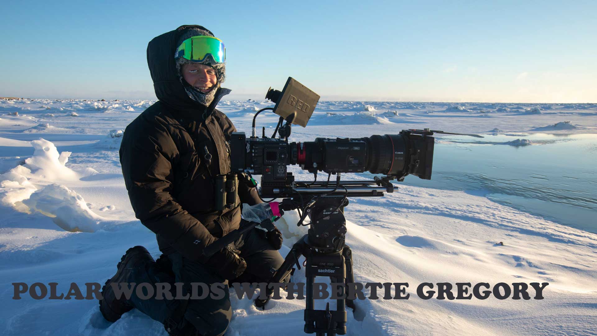 Watch Polar Worlds With Bertie Gregory on TV OSN Home UAE