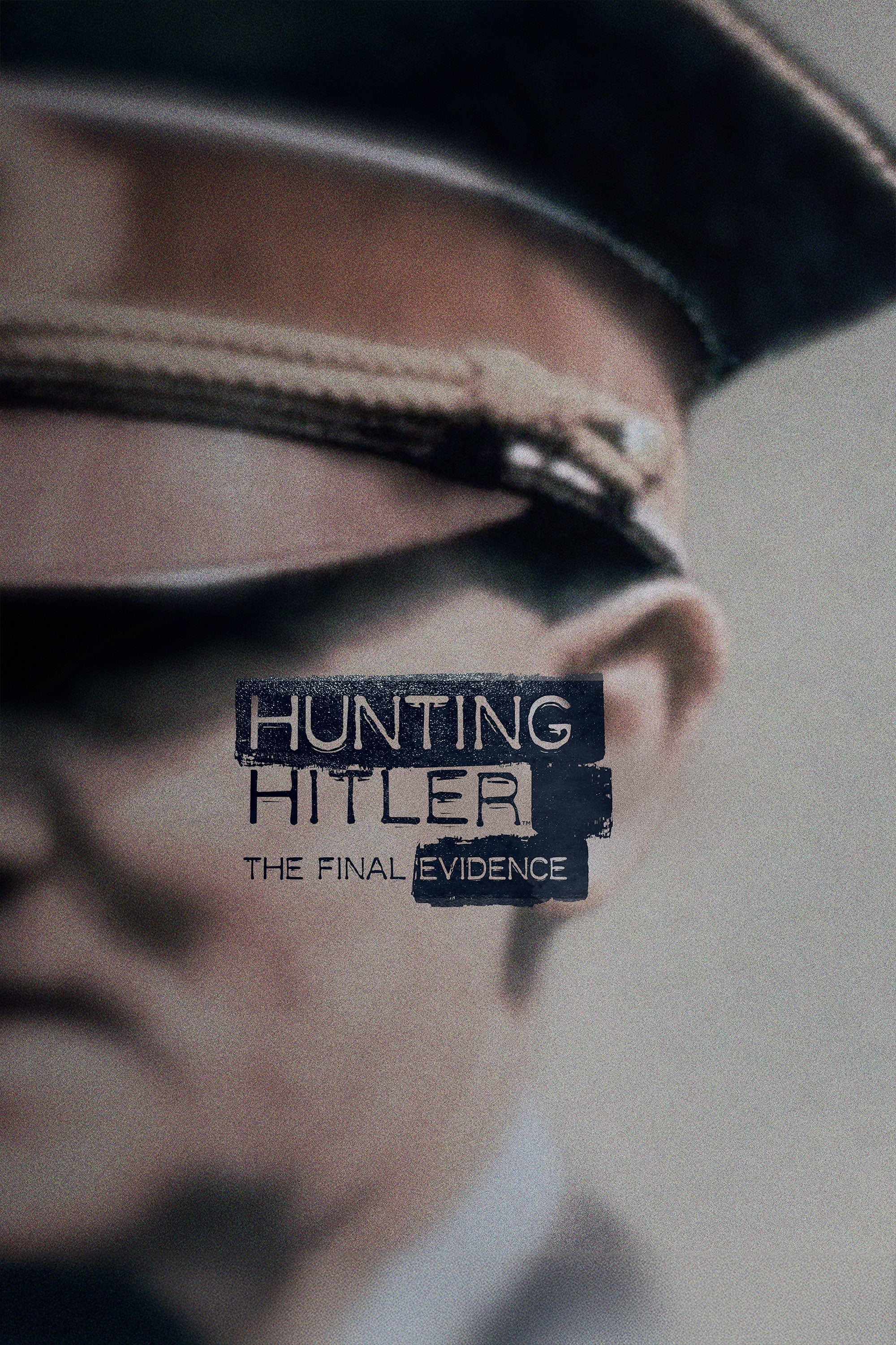 Hunting Hitler